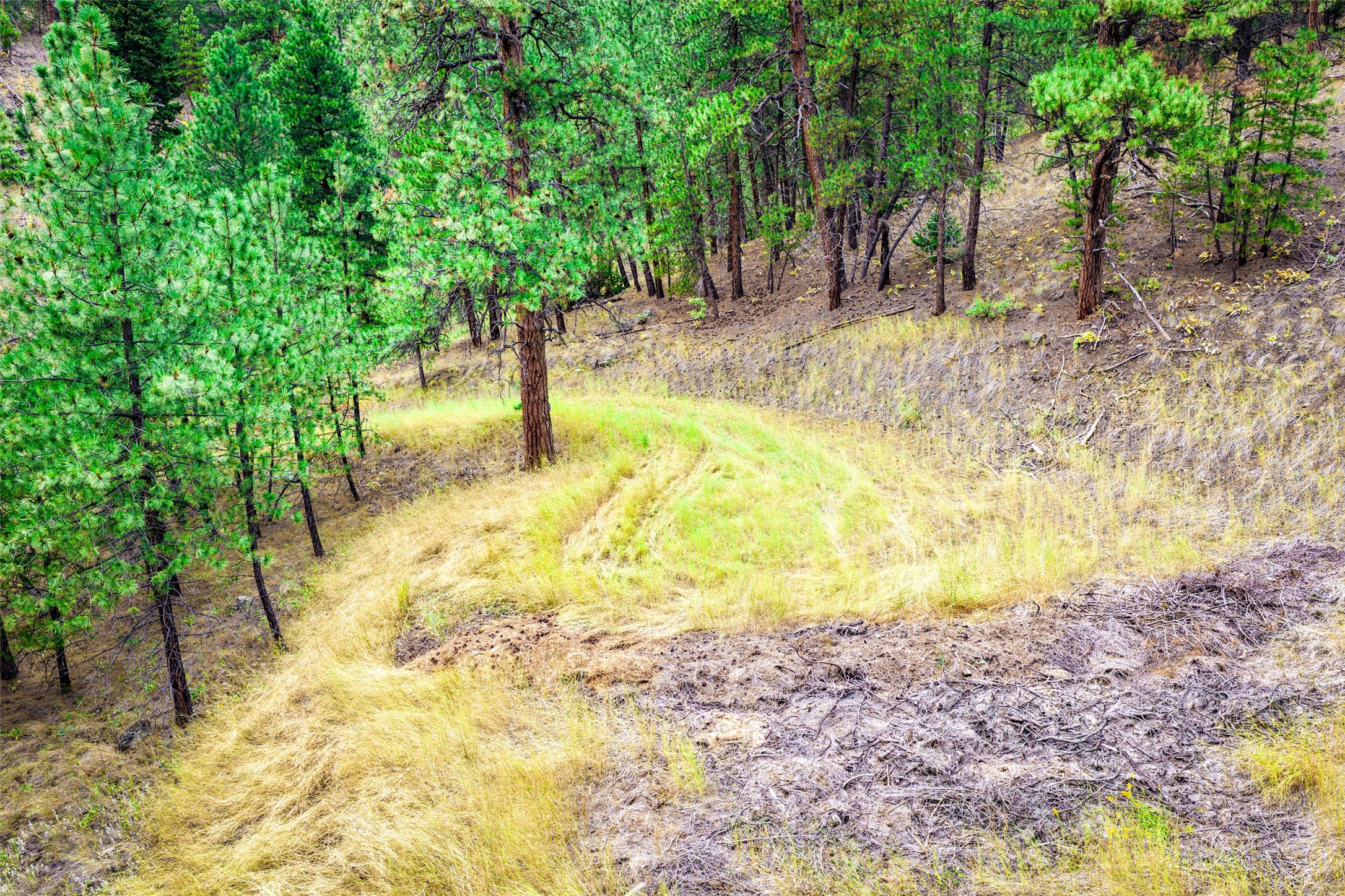 Tbd Sugarloaf Mountain Lane Property Photo 39