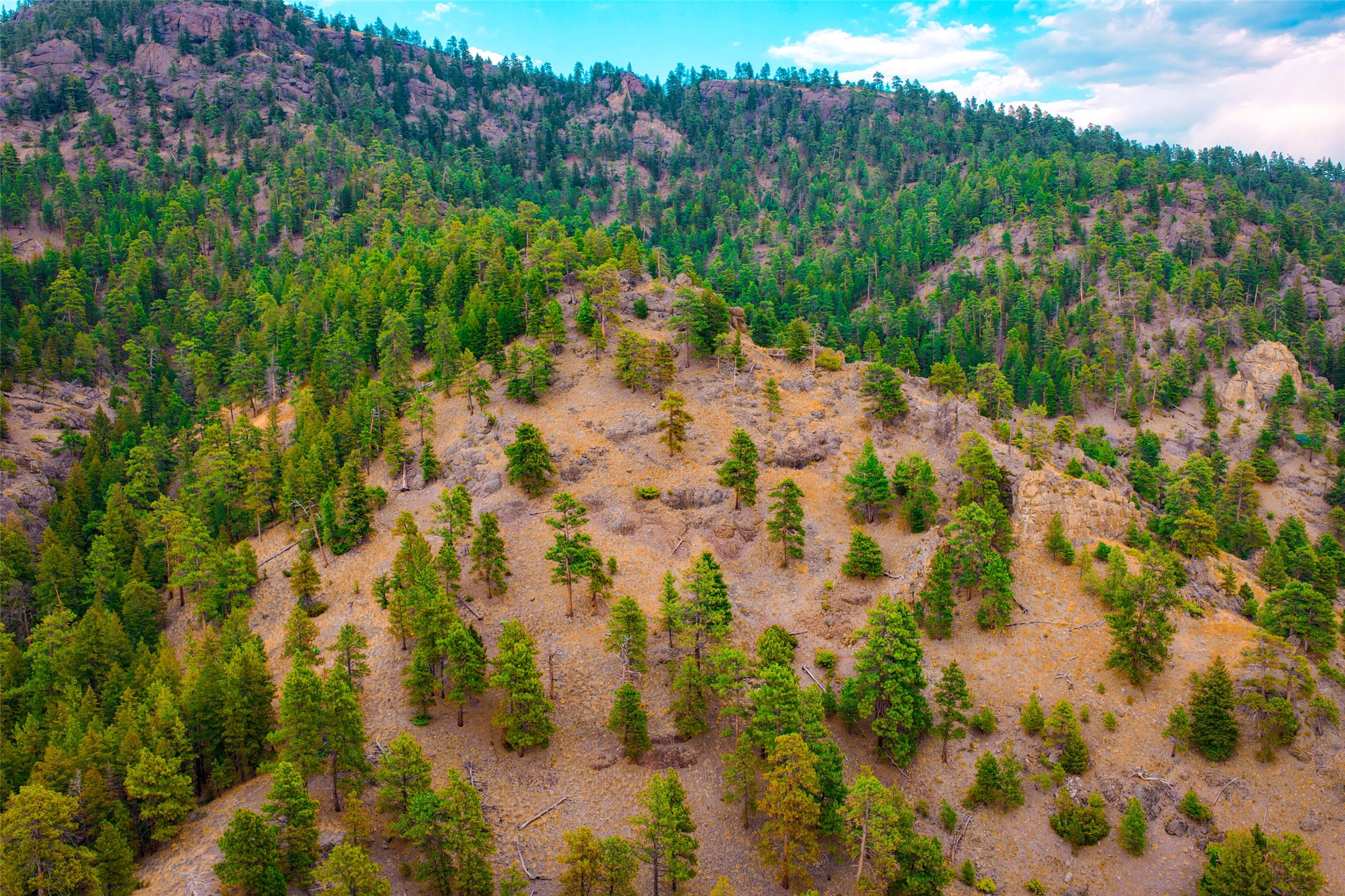 Tbd Sugarloaf Mountain Lane Property Photo 42