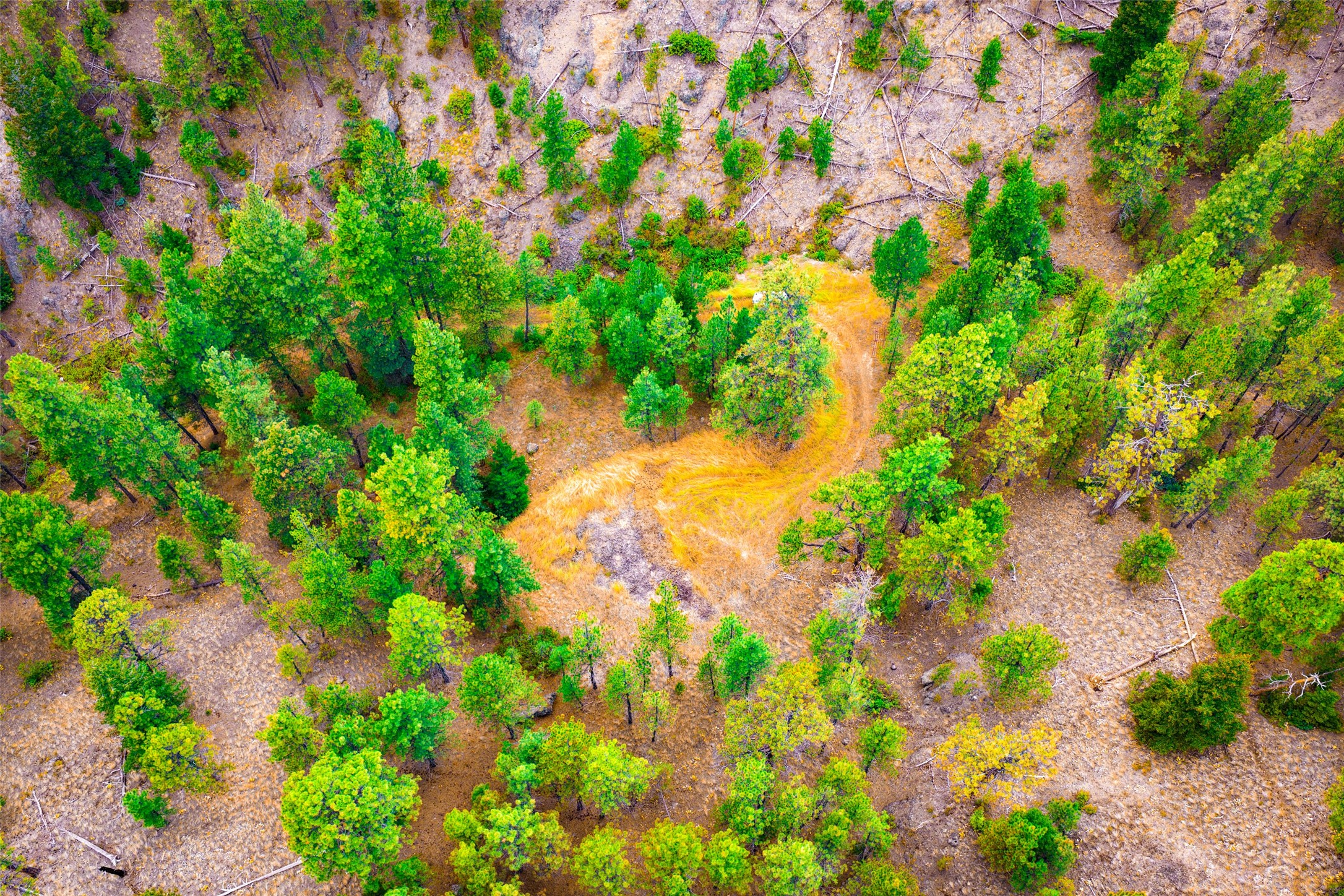 Tbd Sugarloaf Mountain Lane Property Photo 43