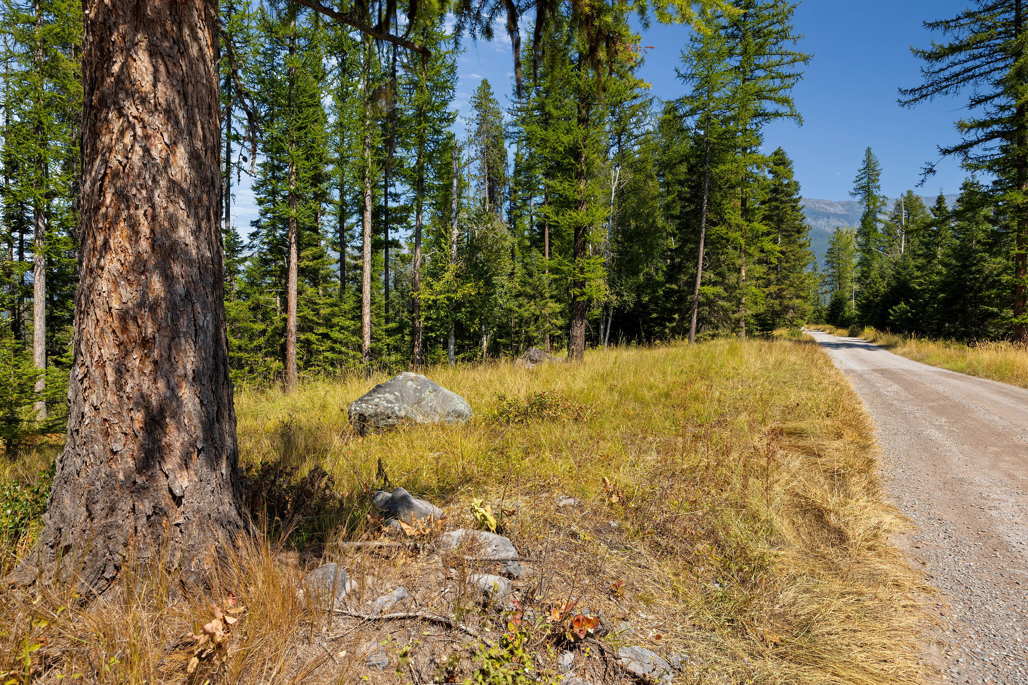 778 Pine Ridge Road Property Photo 6