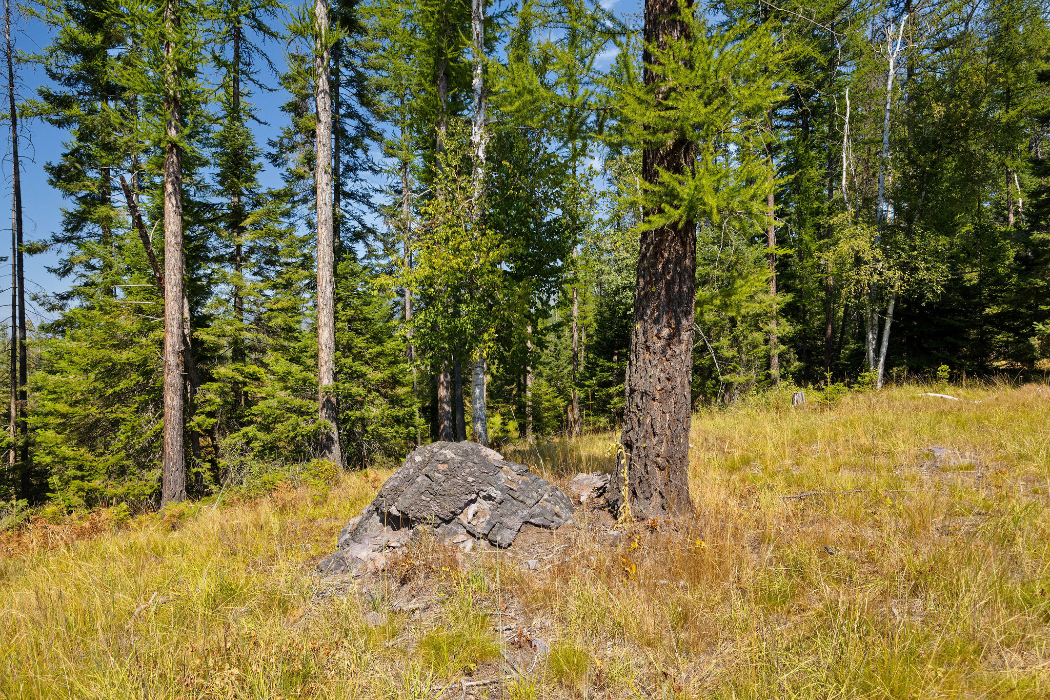 778 Pine Ridge Road Property Photo 11