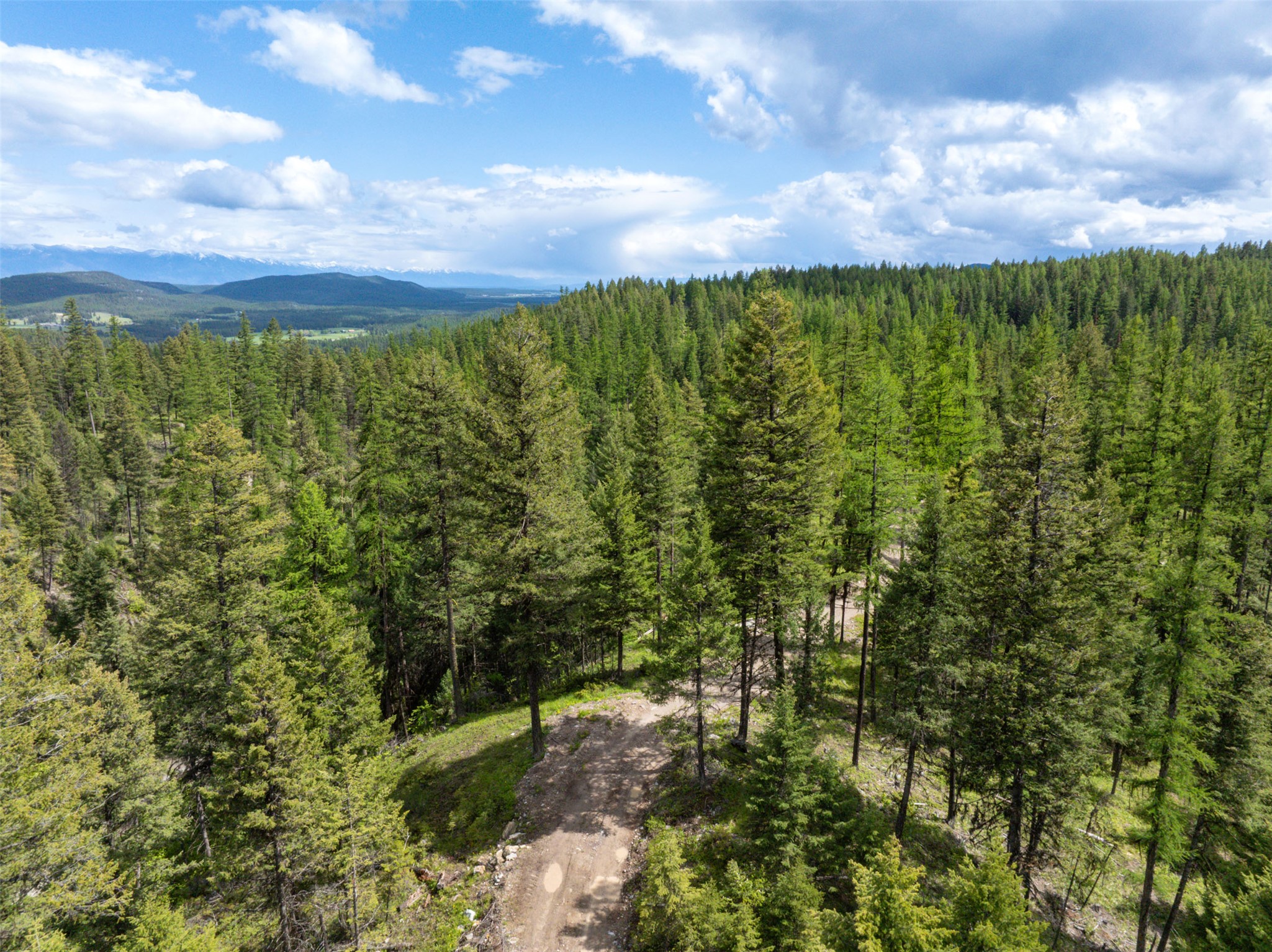 2290 Mountain Home Road Property Photo 9