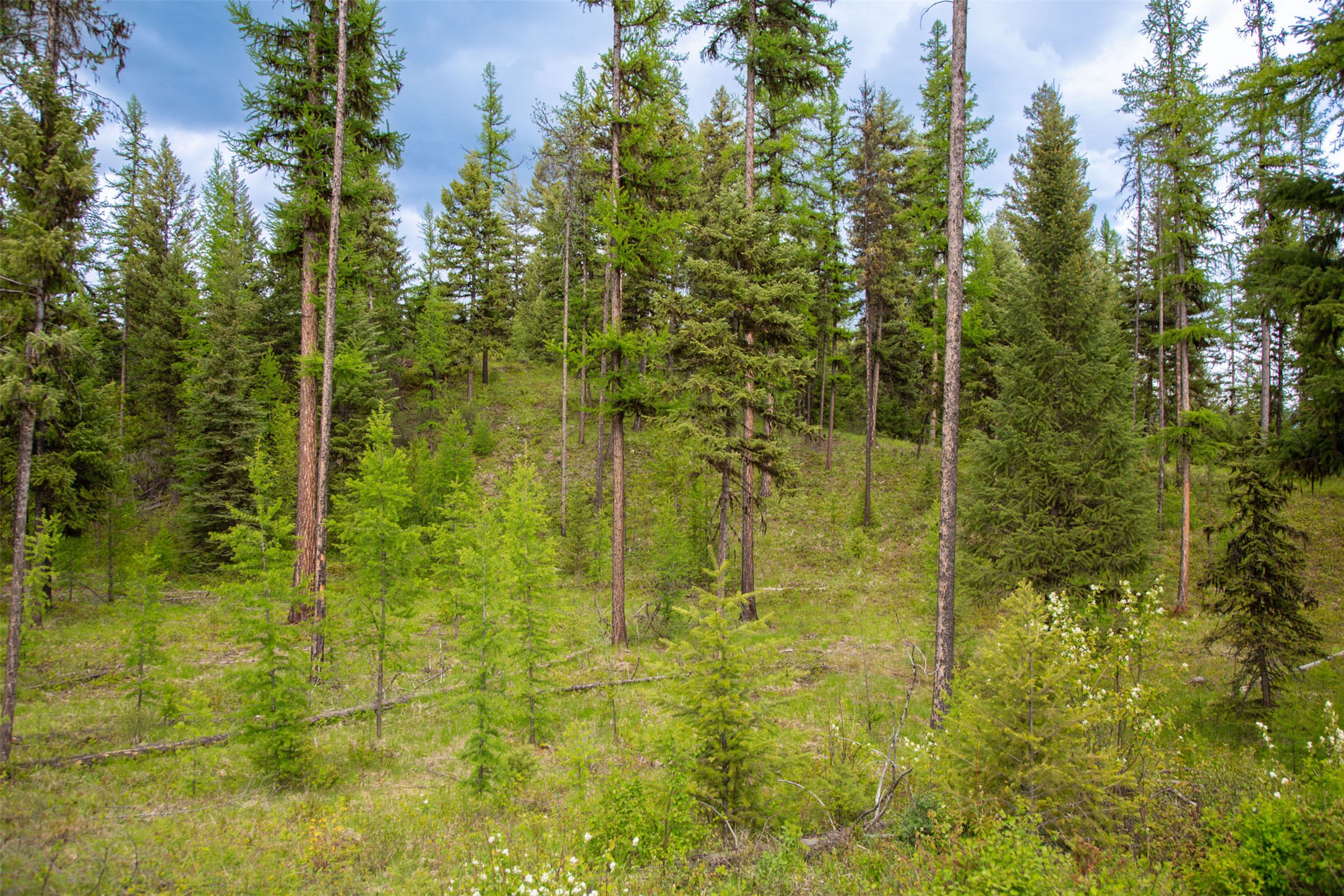 2290 Mountain Home Road Property Photo 30