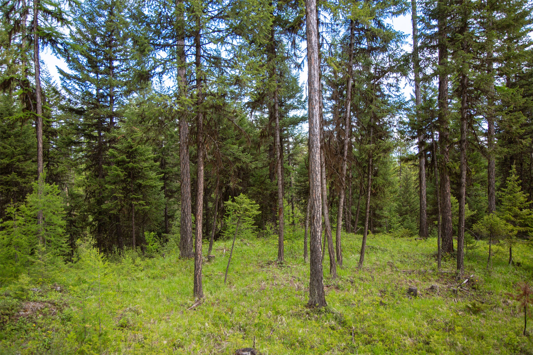 2290 Mountain Home Road Property Photo 32