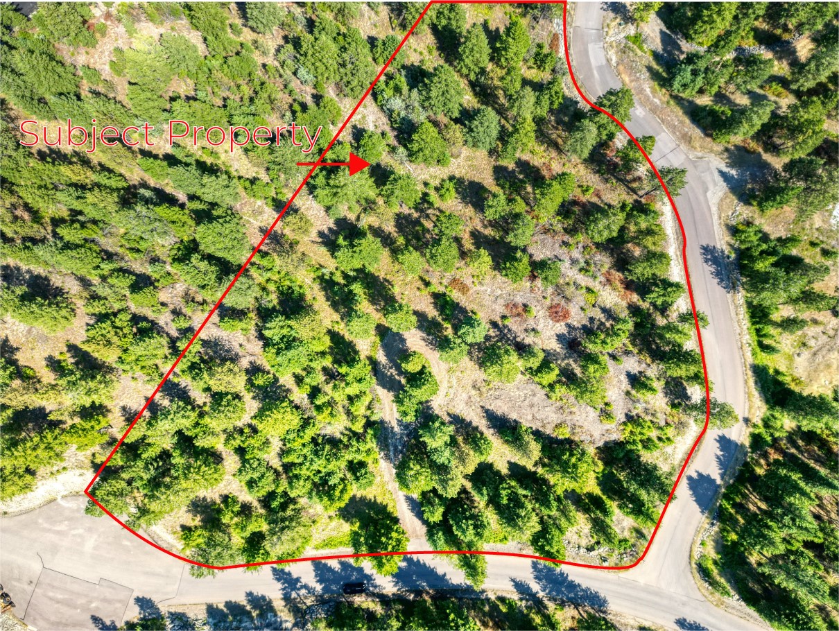 535 Bear Mountain Road Property Photo 2