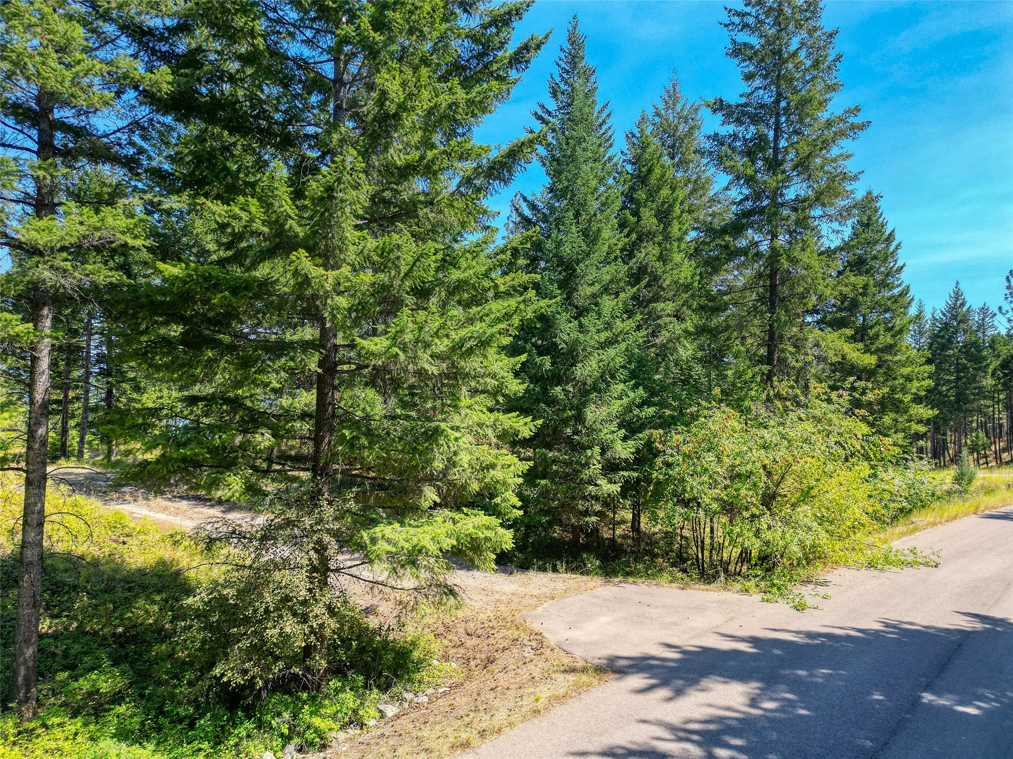 535 Bear Mountain Road Property Photo 5