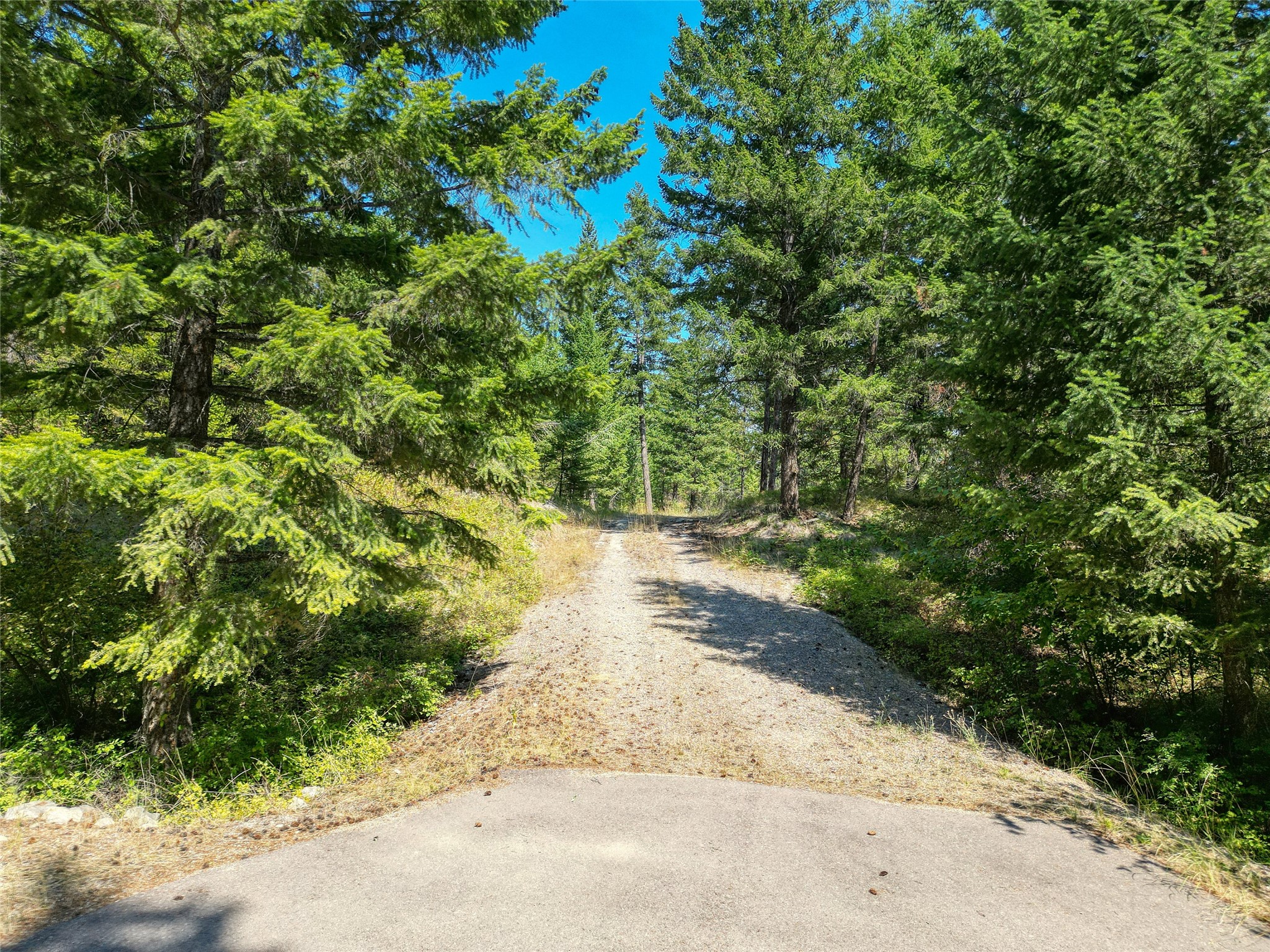 535 Bear Mountain Road Property Photo 6