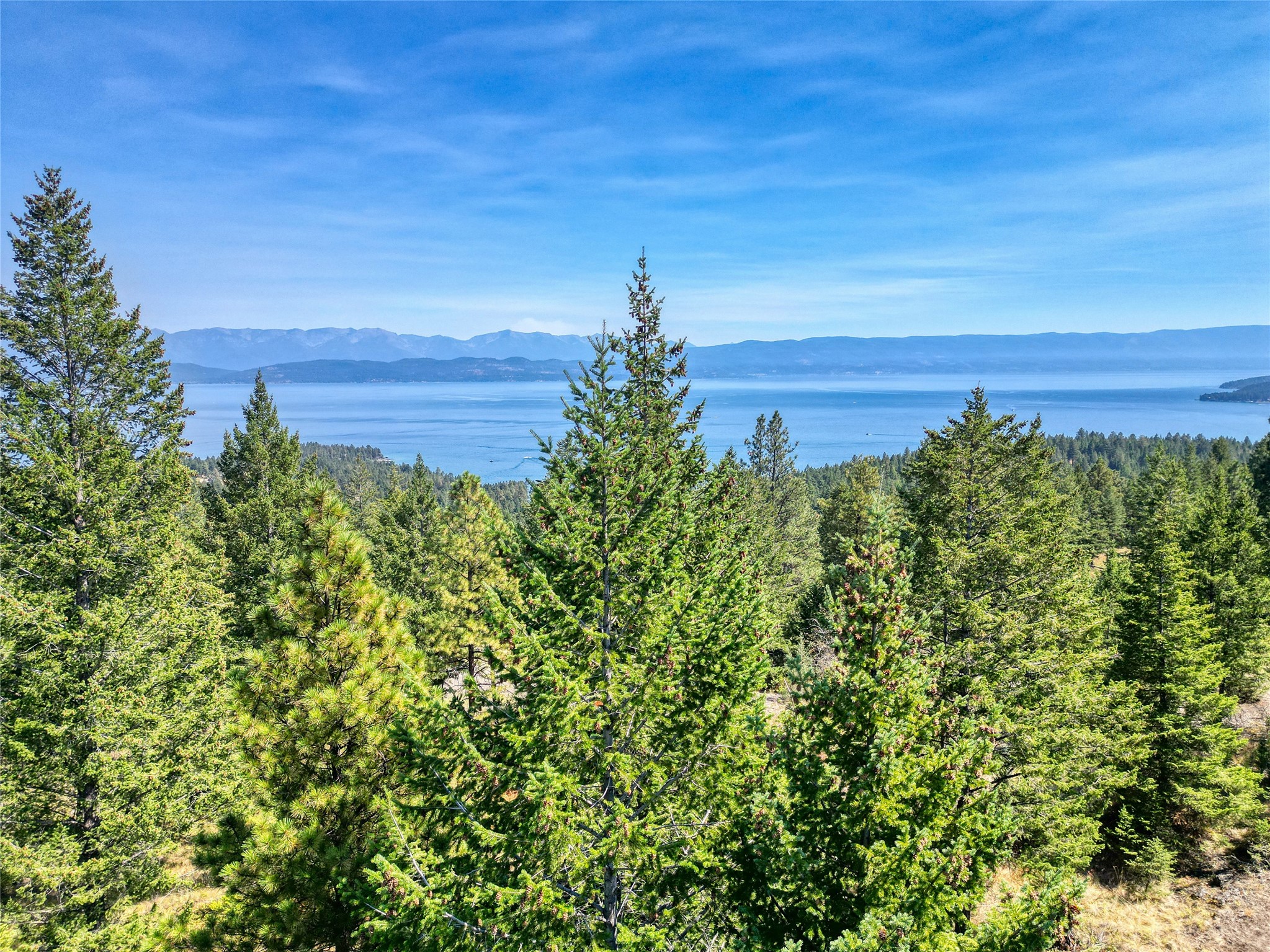535 Bear Mountain Road Property Photo 19