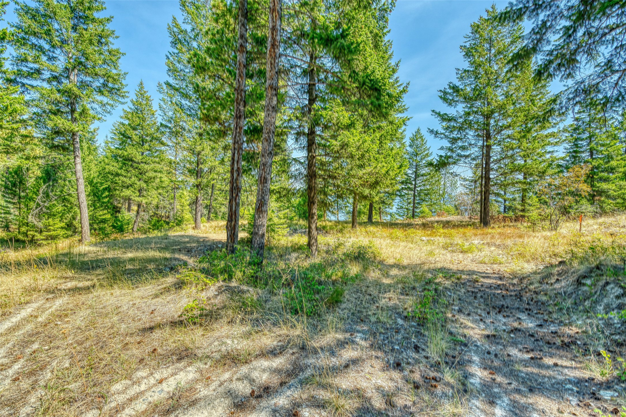 535 Bear Mountain Road Property Photo 29