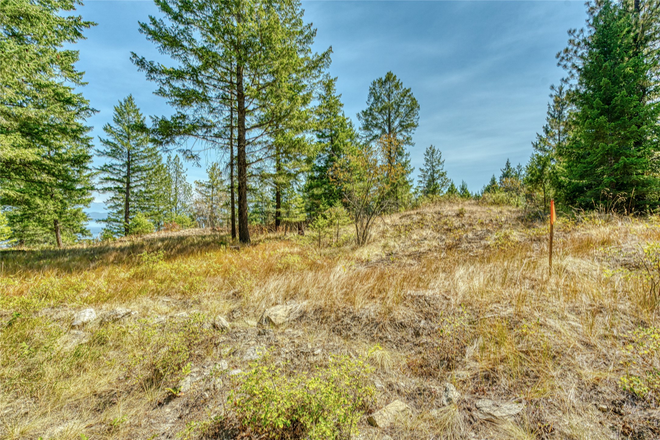 535 Bear Mountain Road Property Photo 30