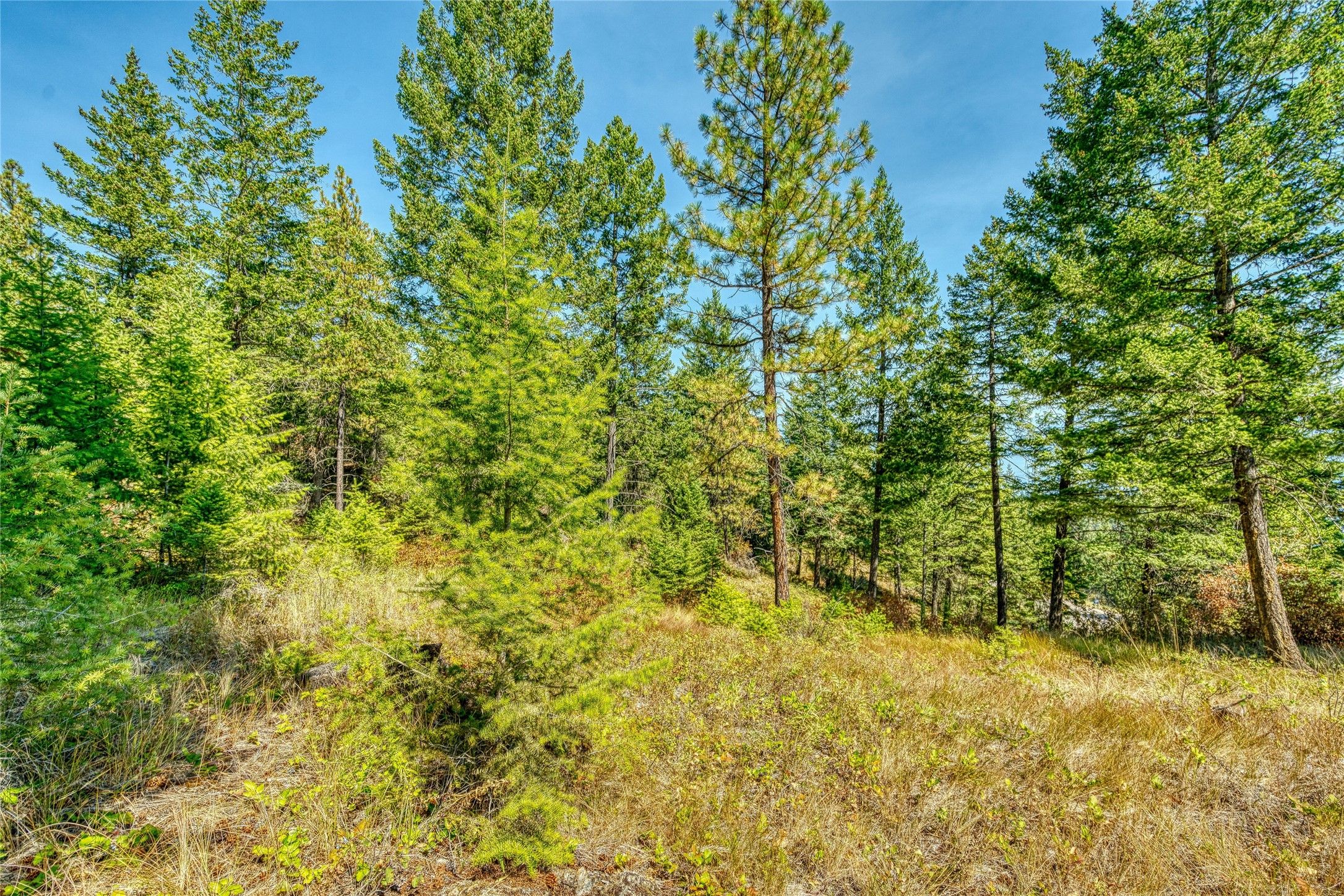 535 Bear Mountain Road Property Photo 31