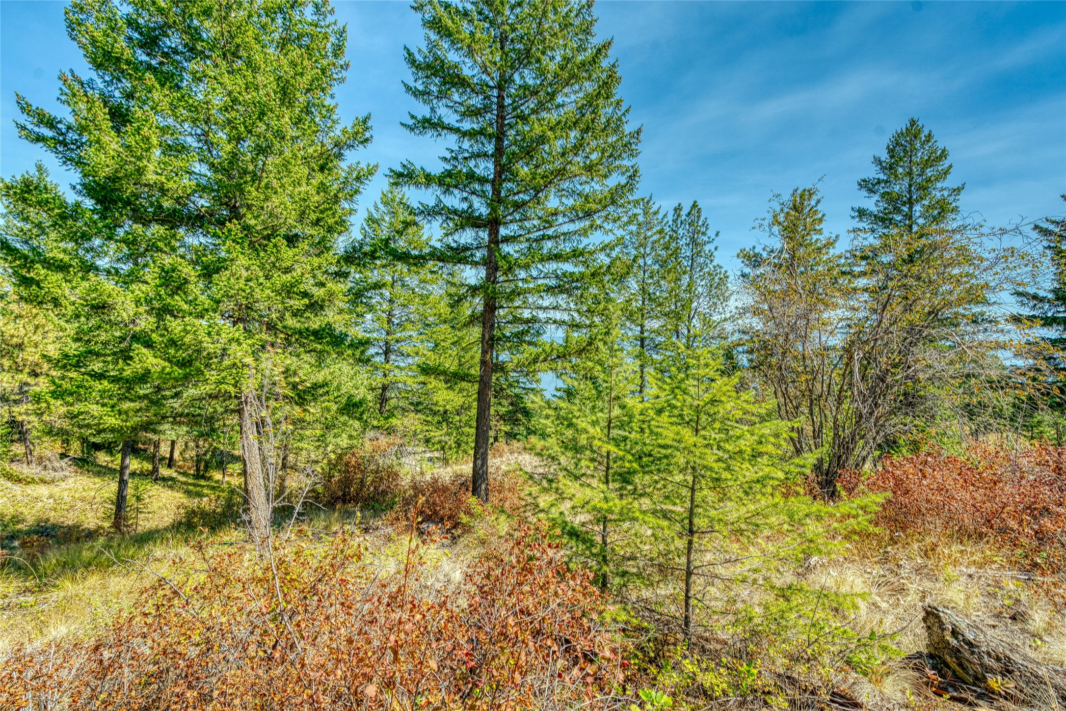 535 Bear Mountain Road Property Photo 32
