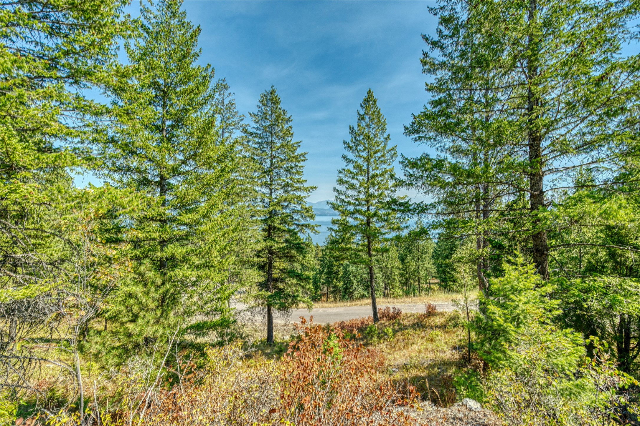 535 Bear Mountain Road Property Photo 33