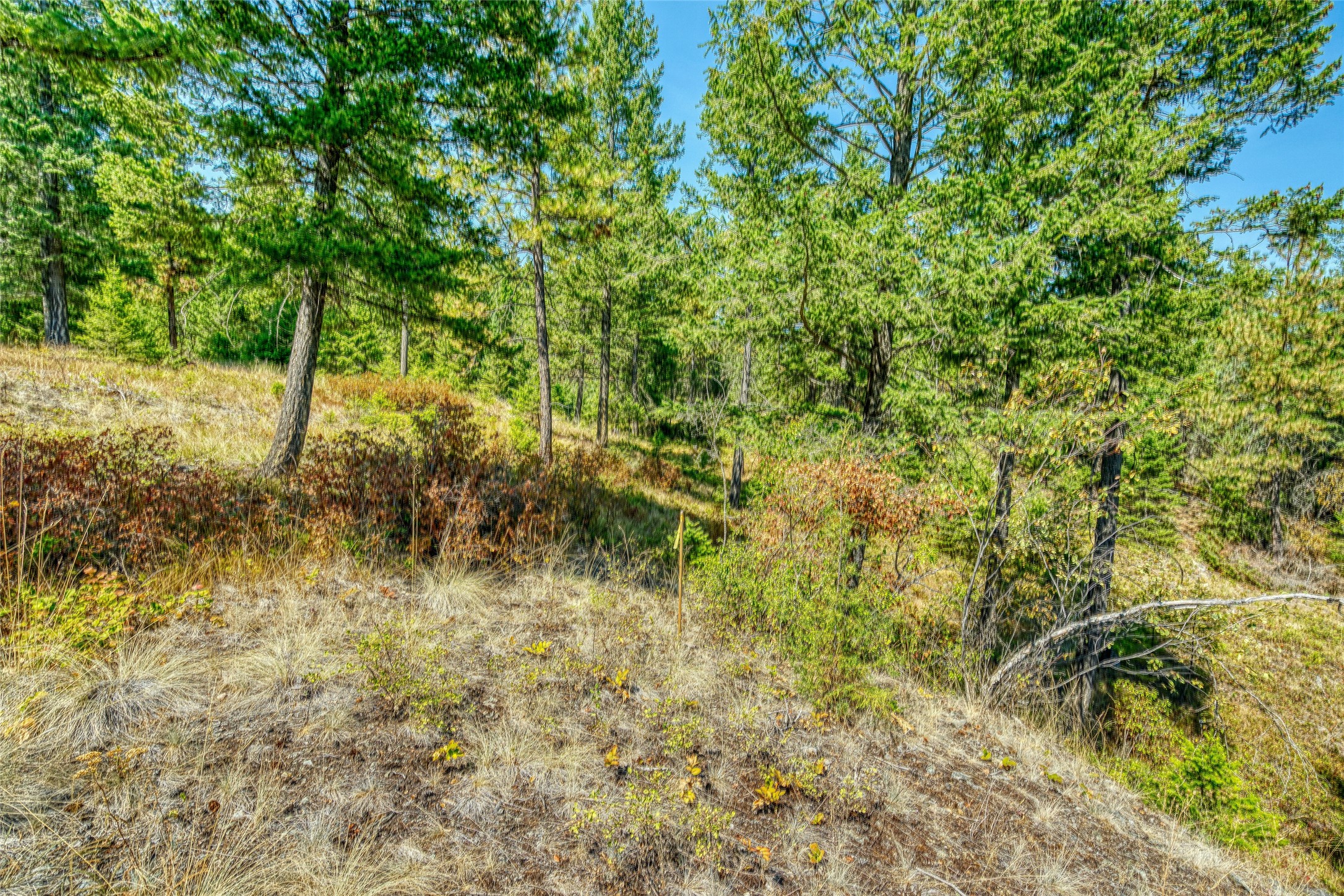 535 Bear Mountain Road Property Photo 34