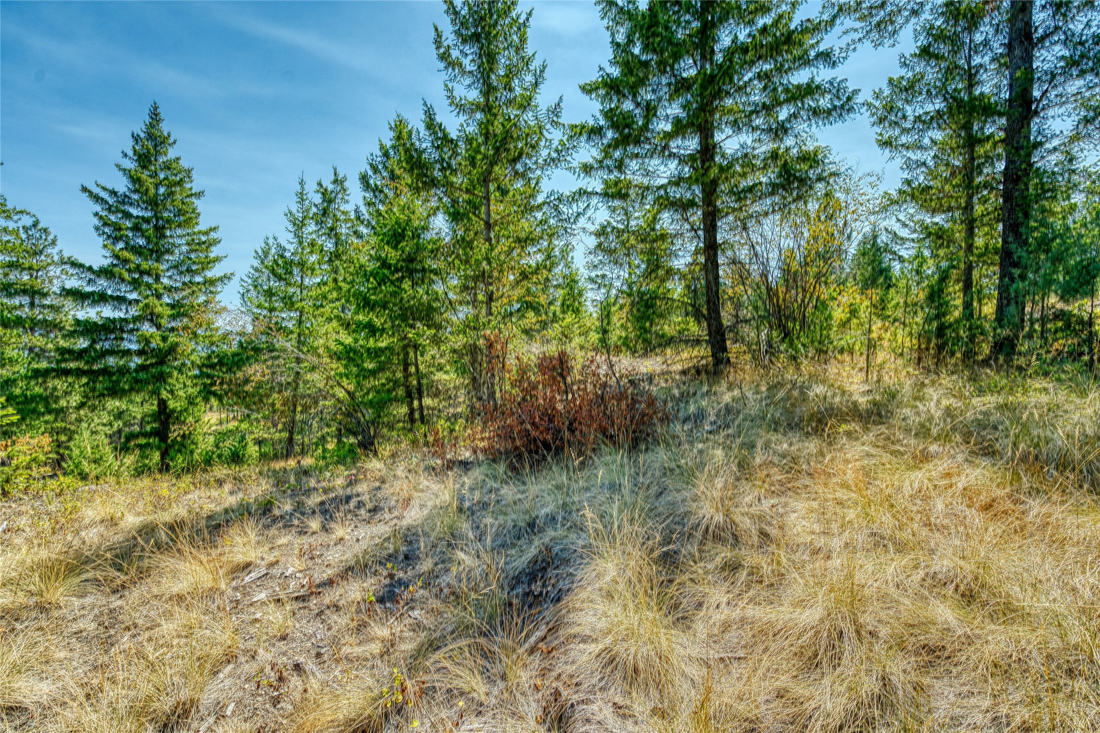 535 Bear Mountain Road Property Photo 35