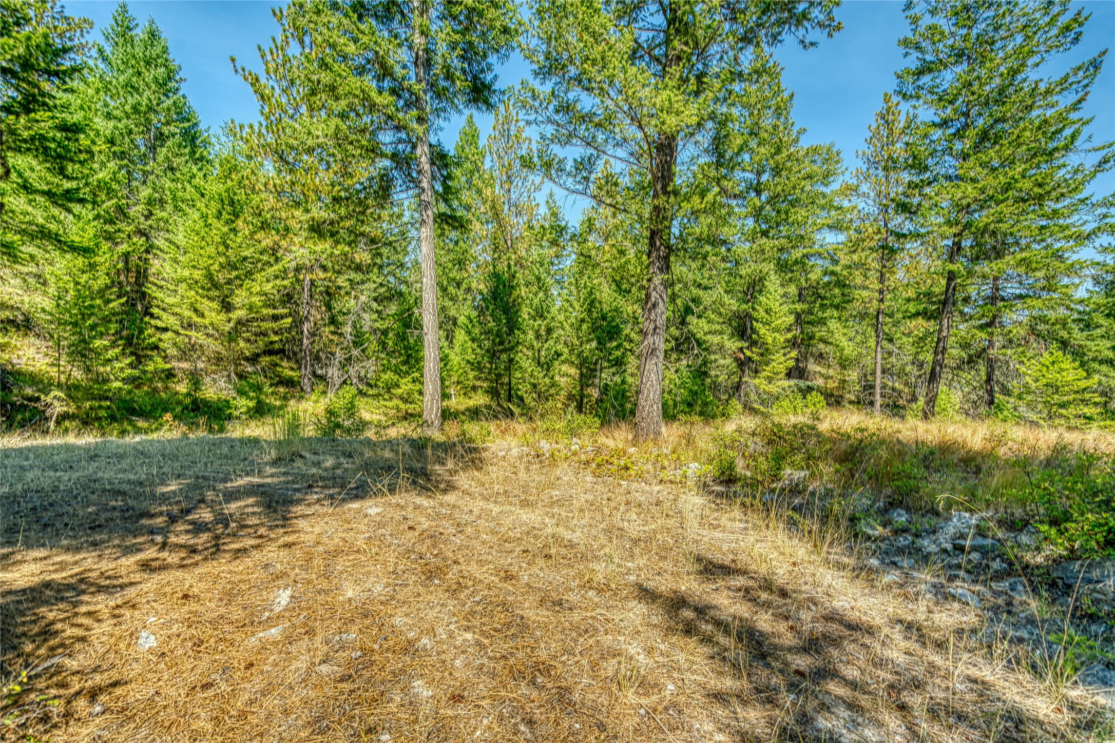 535 Bear Mountain Road Property Photo 36