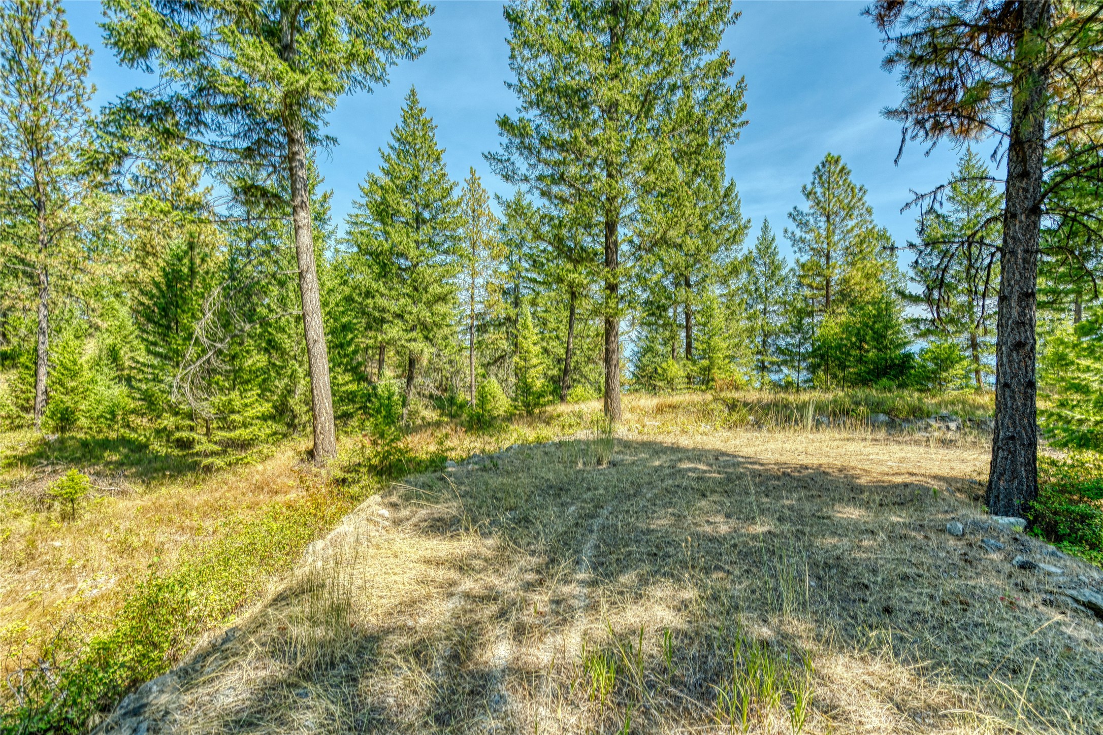 535 Bear Mountain Road Property Photo 37