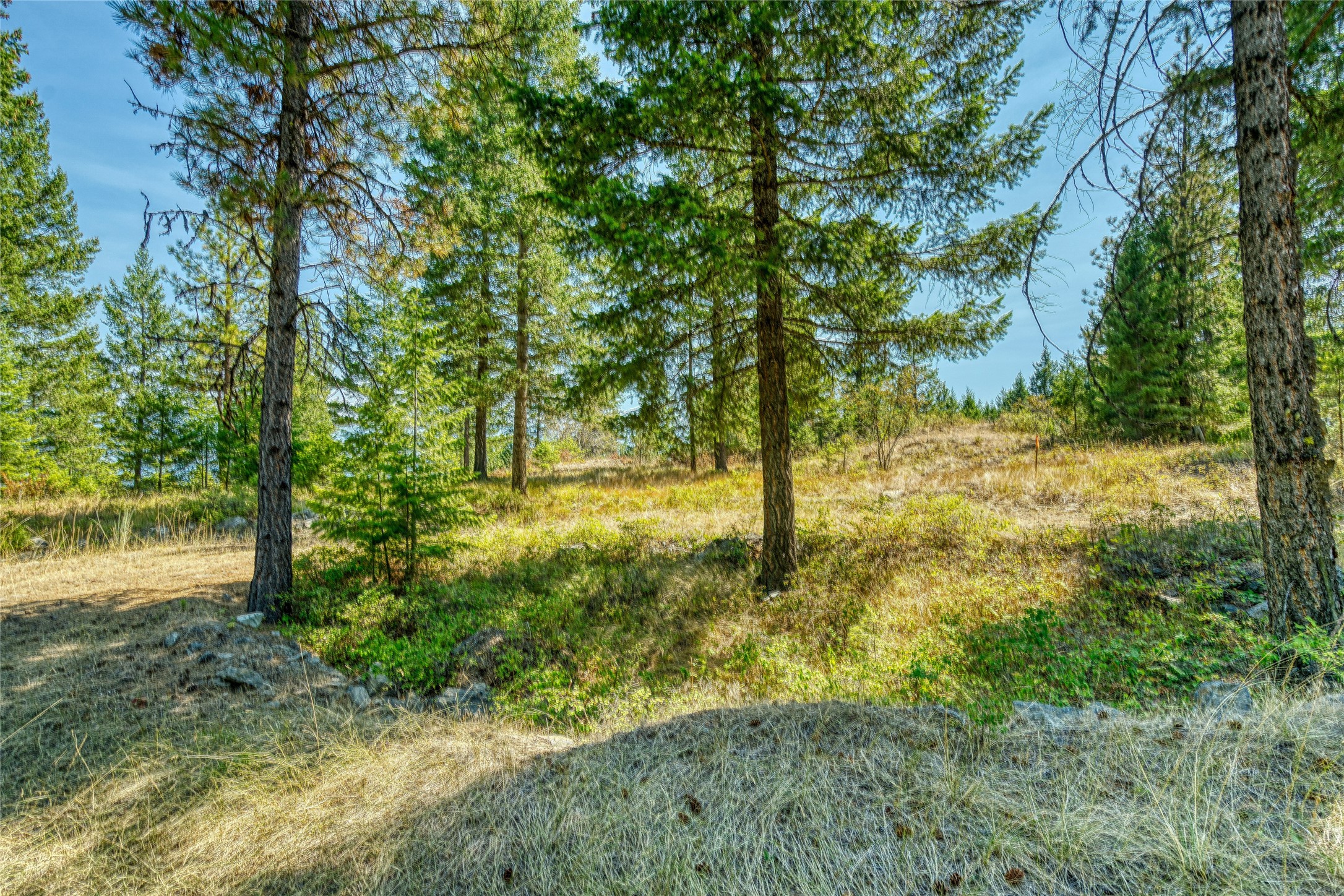 535 Bear Mountain Road Property Photo 38