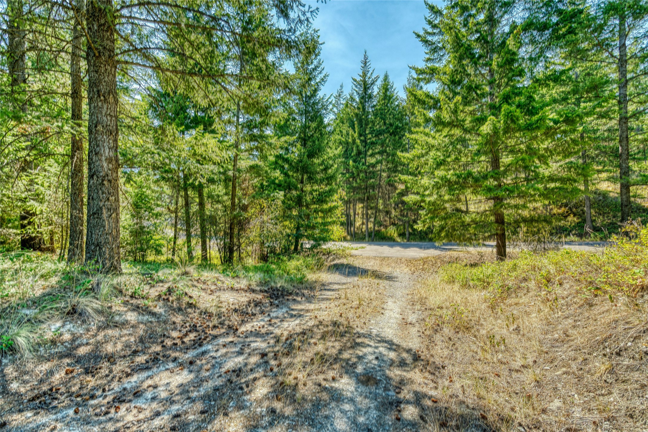 535 Bear Mountain Road Property Photo 39