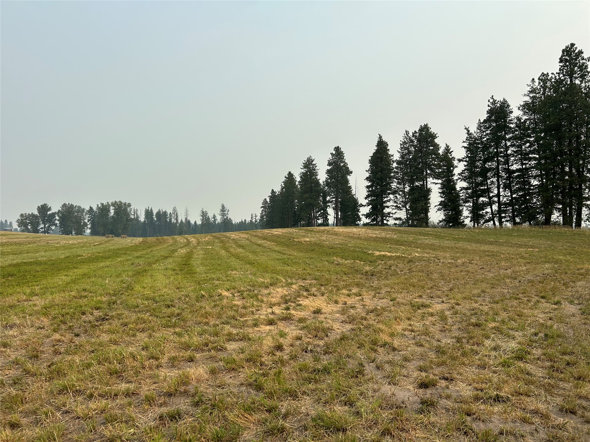 147 Patriots Lane Property Photo 4