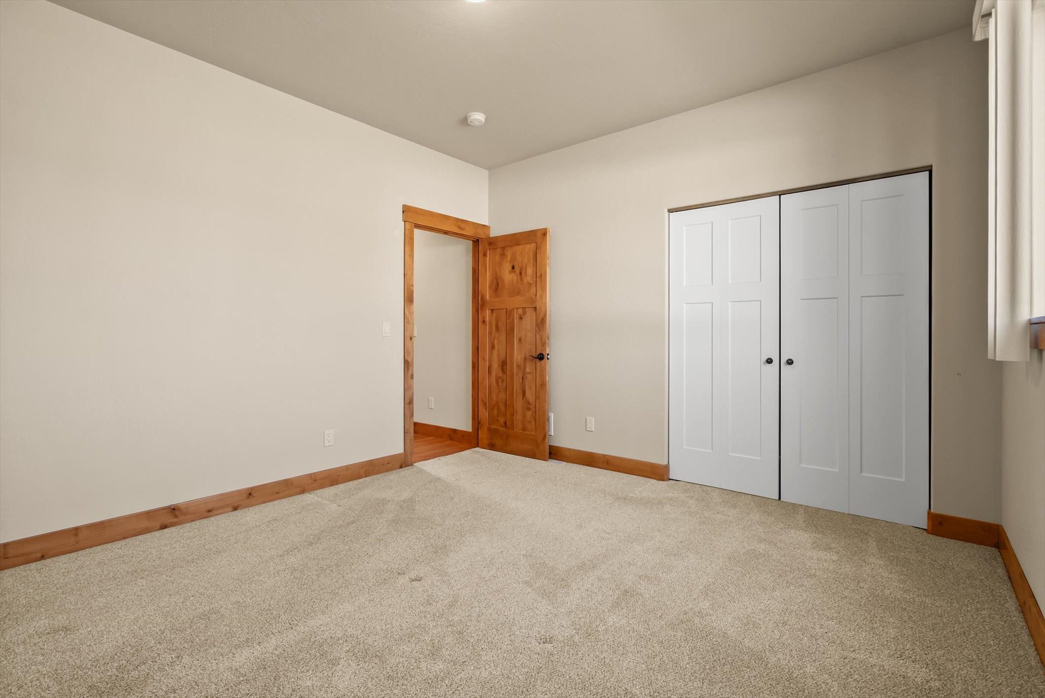 1132 Clark Fork Drive Property Photo 19