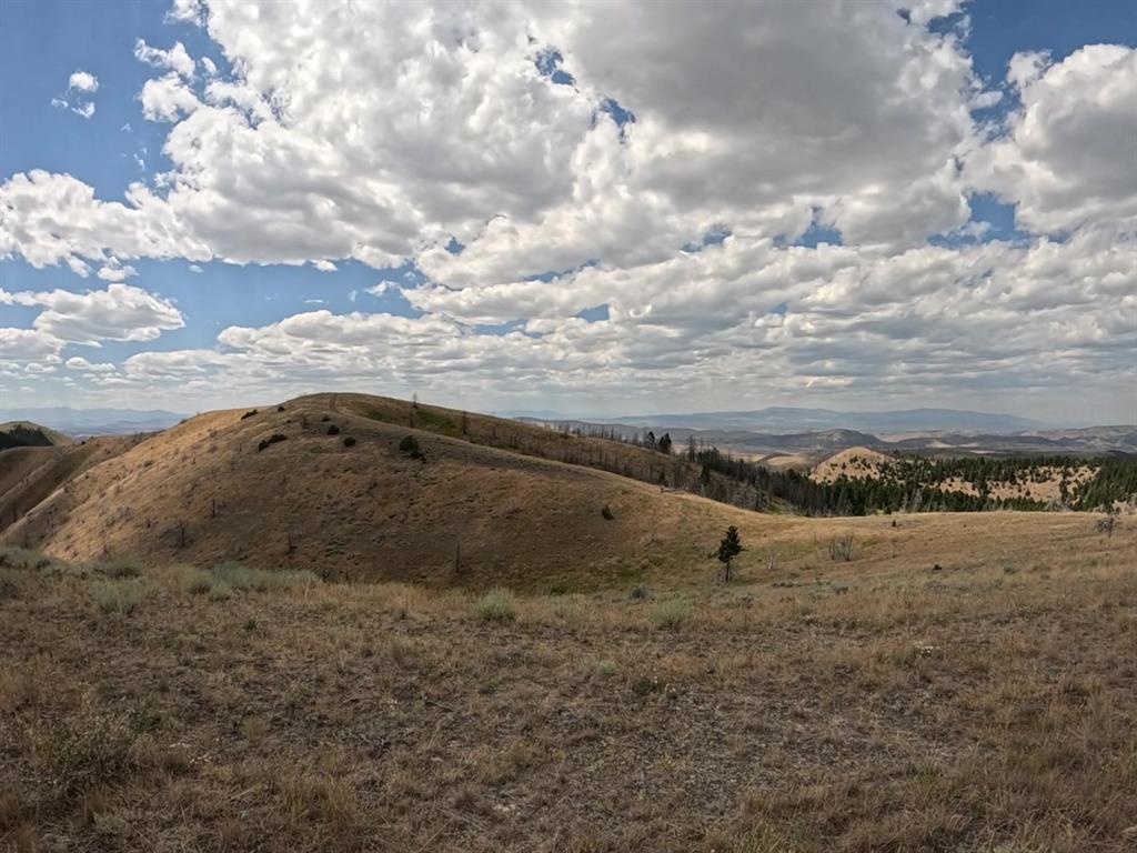 402 Lightning Ridge Trail Property Photo 1