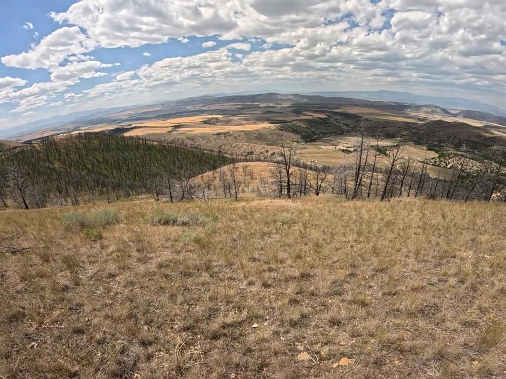 402 Lightning Ridge Trail Property Photo 2