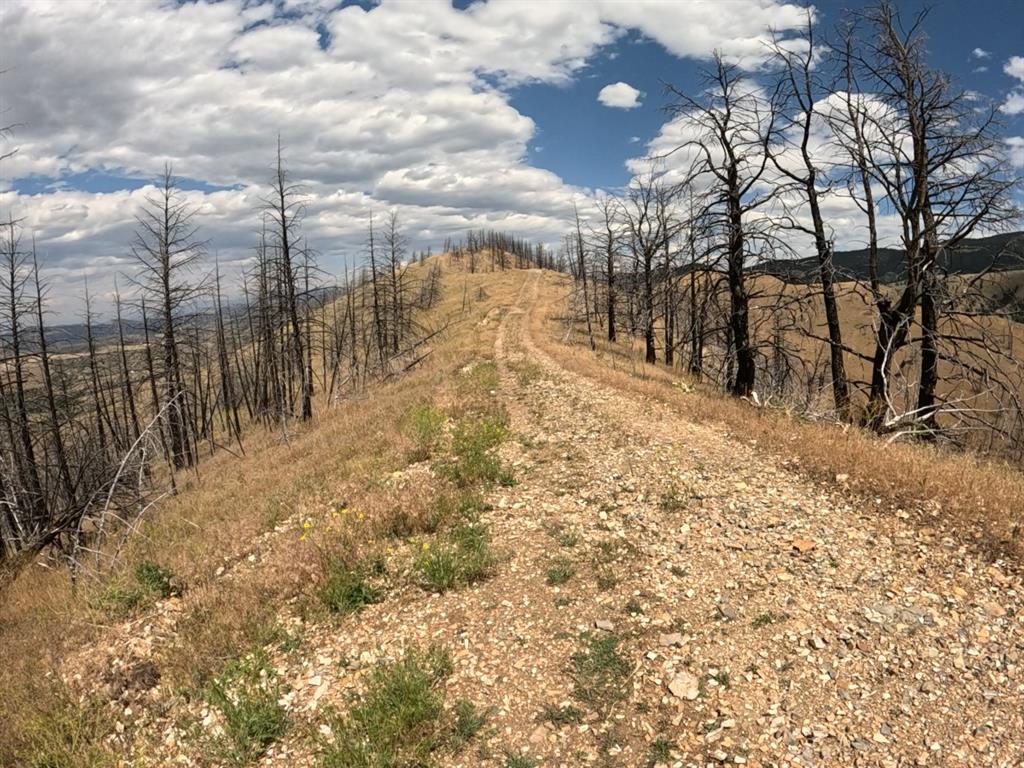 402 Lightning Ridge Trail Property Photo 3