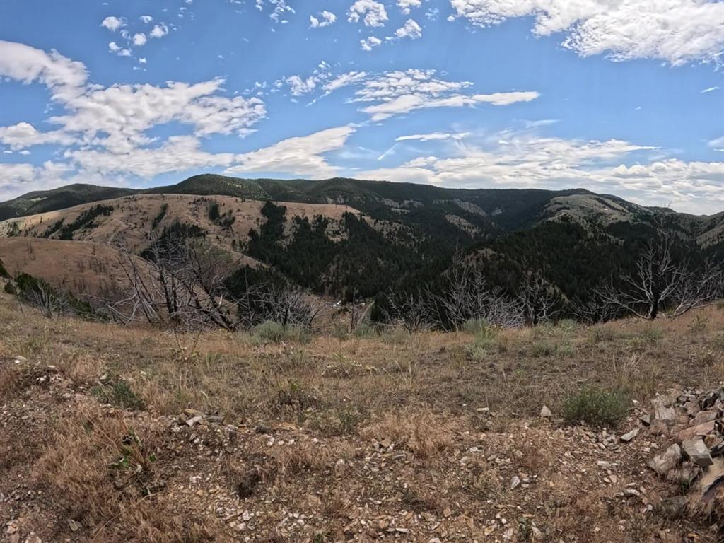 402 Lightning Ridge Trail Property Photo 4