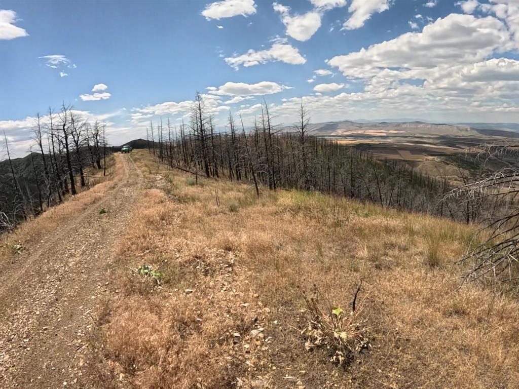 402 Lightning Ridge Trail Property Photo 8