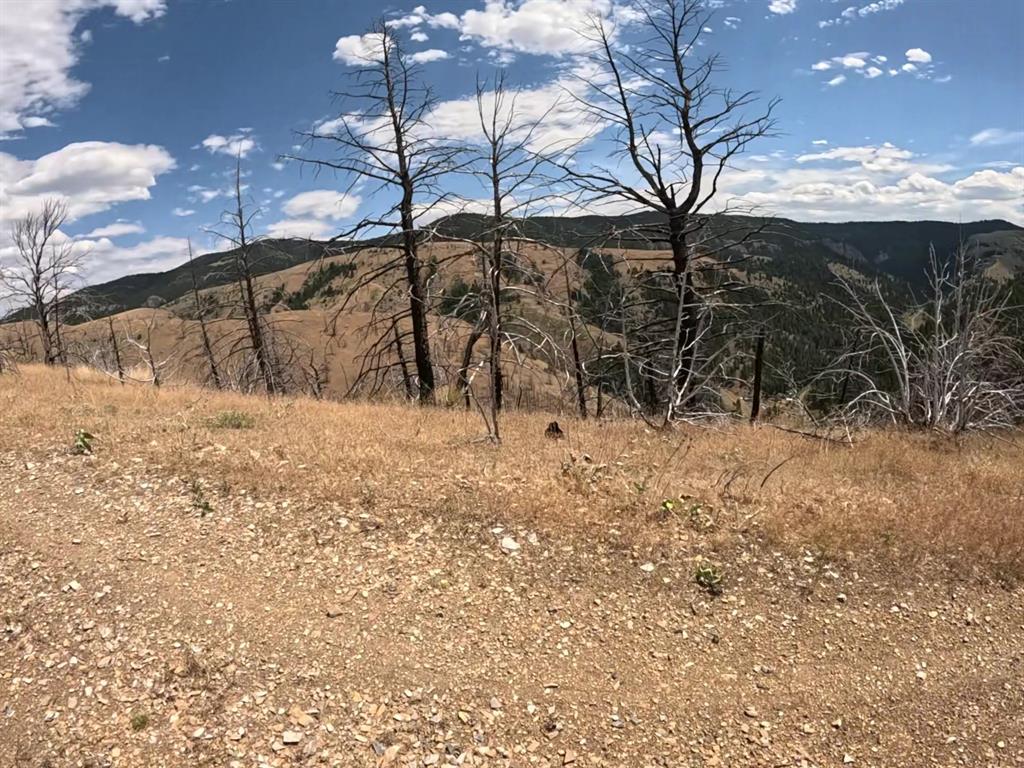 402 Lightning Ridge Trail Property Photo 9