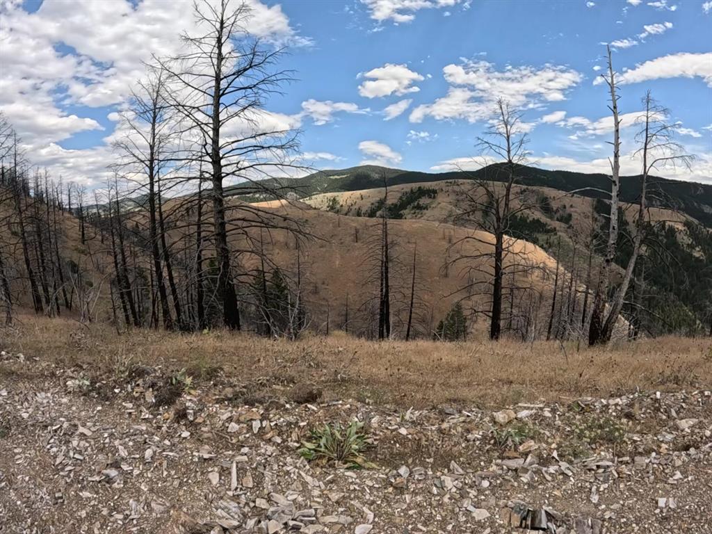 402 Lightning Ridge Trail Property Photo 11