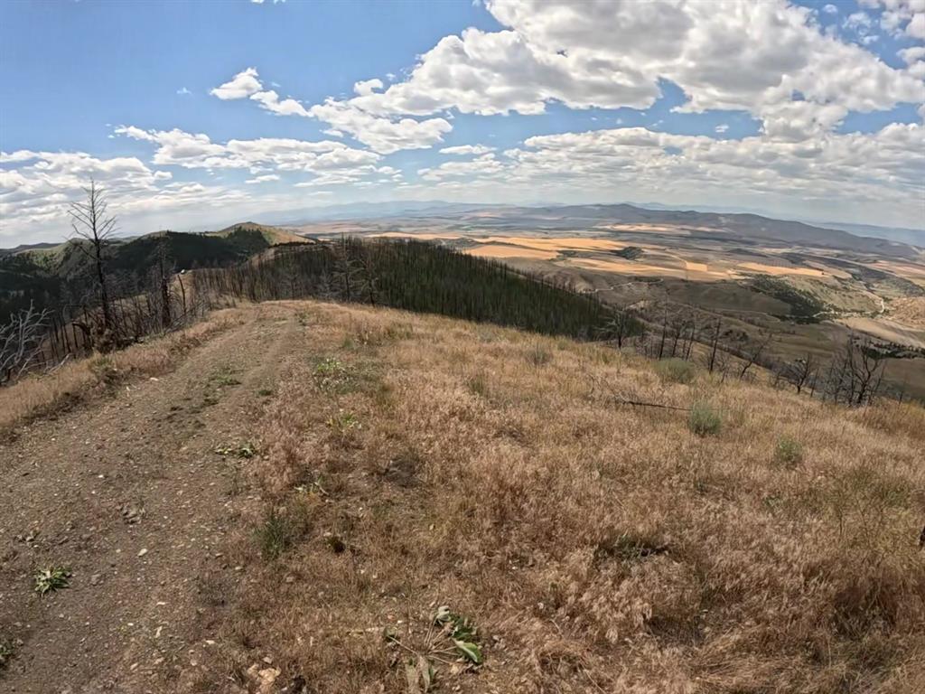 402 Lightning Ridge Trail Property Photo 14