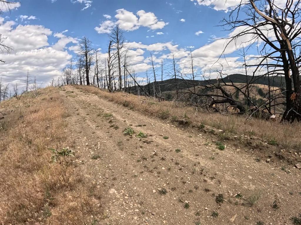 402 Lightning Ridge Trail Property Photo 15