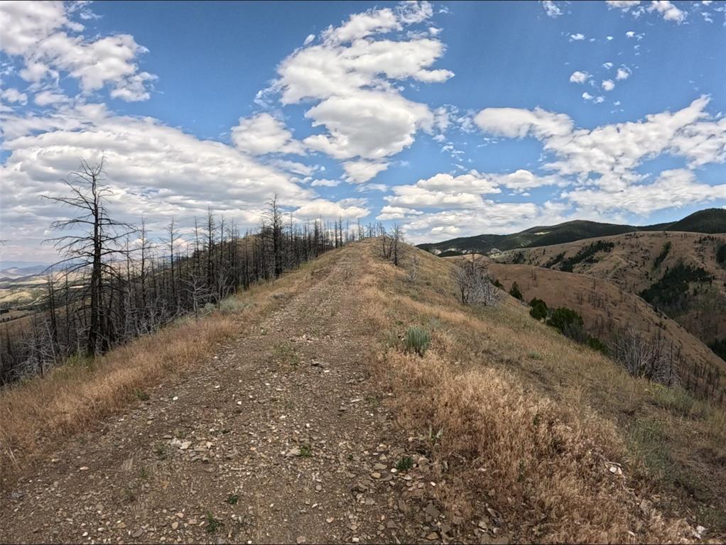 402 Lightning Ridge Trail Property Photo 16