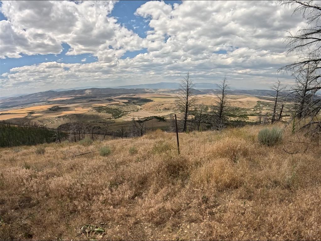 402 Lightning Ridge Trail Property Photo 17