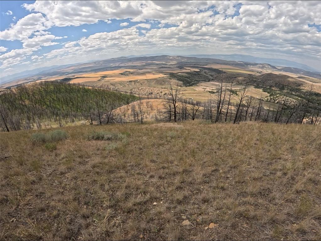 402 Lightning Ridge Trail Property Photo 18