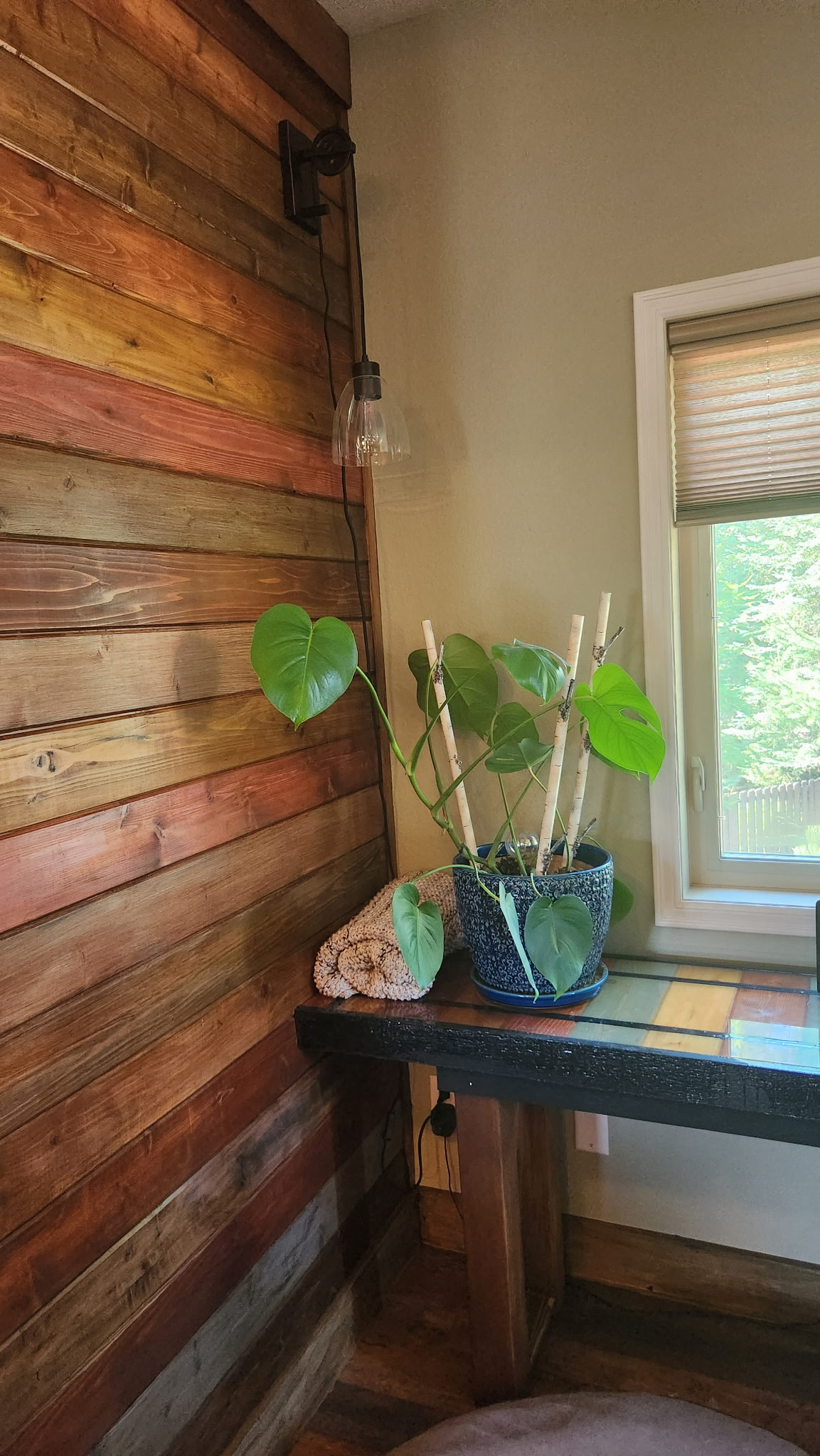 343 Stumptown Loop Property Photo 49
