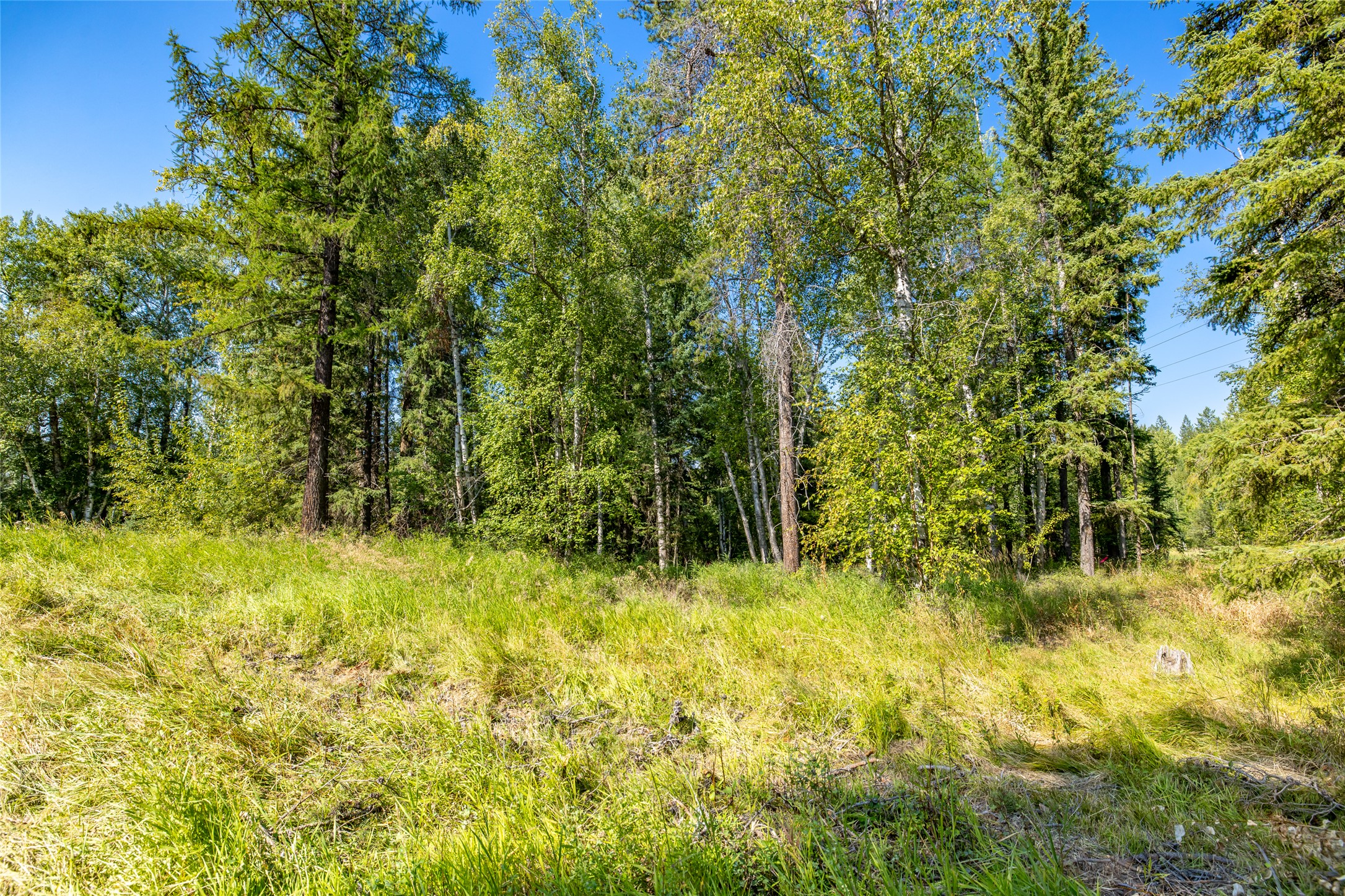 Nhn North Fork Loop Property Photo 8
