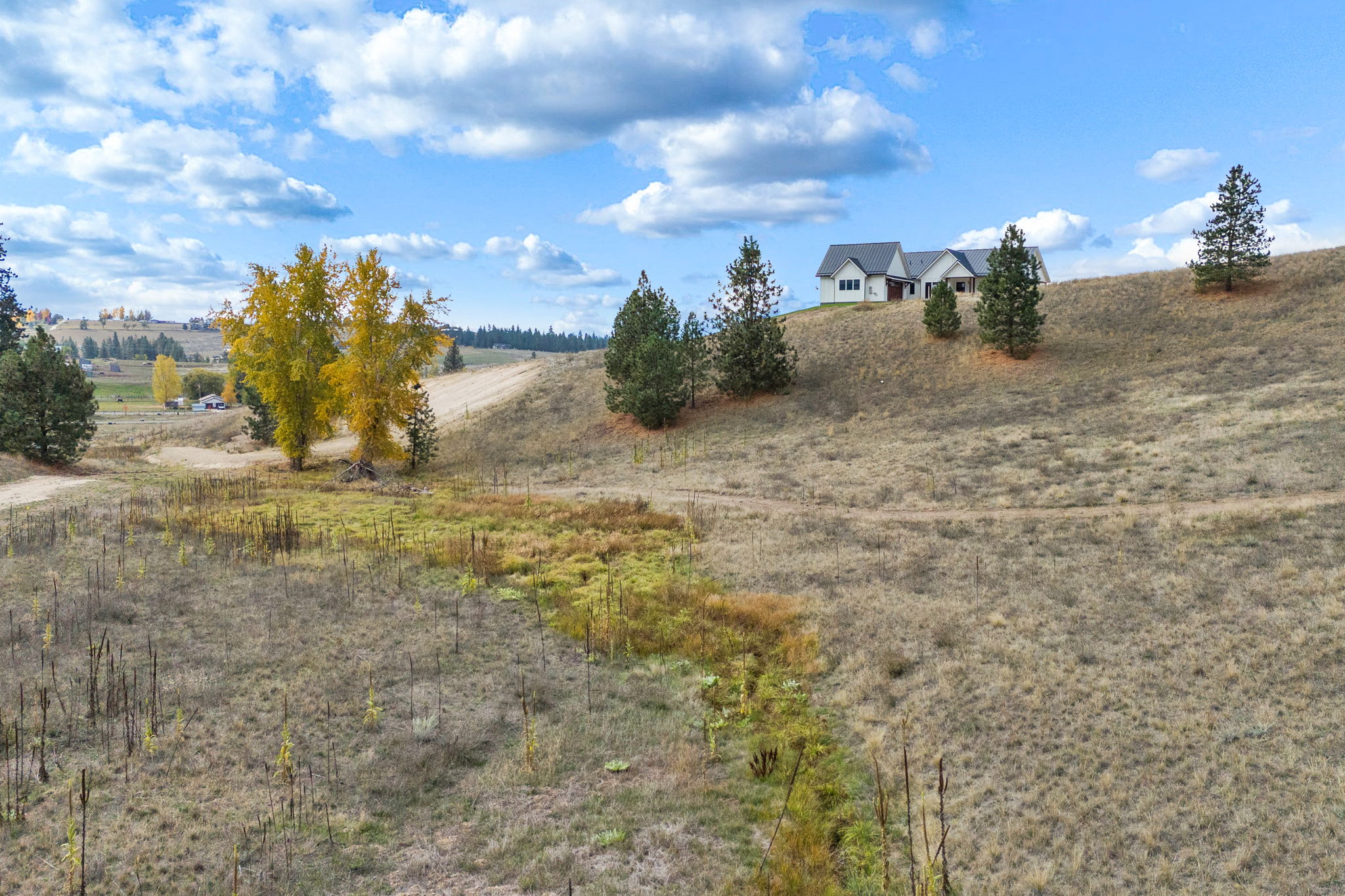 243 Miles Gulch Road Property Photo 26