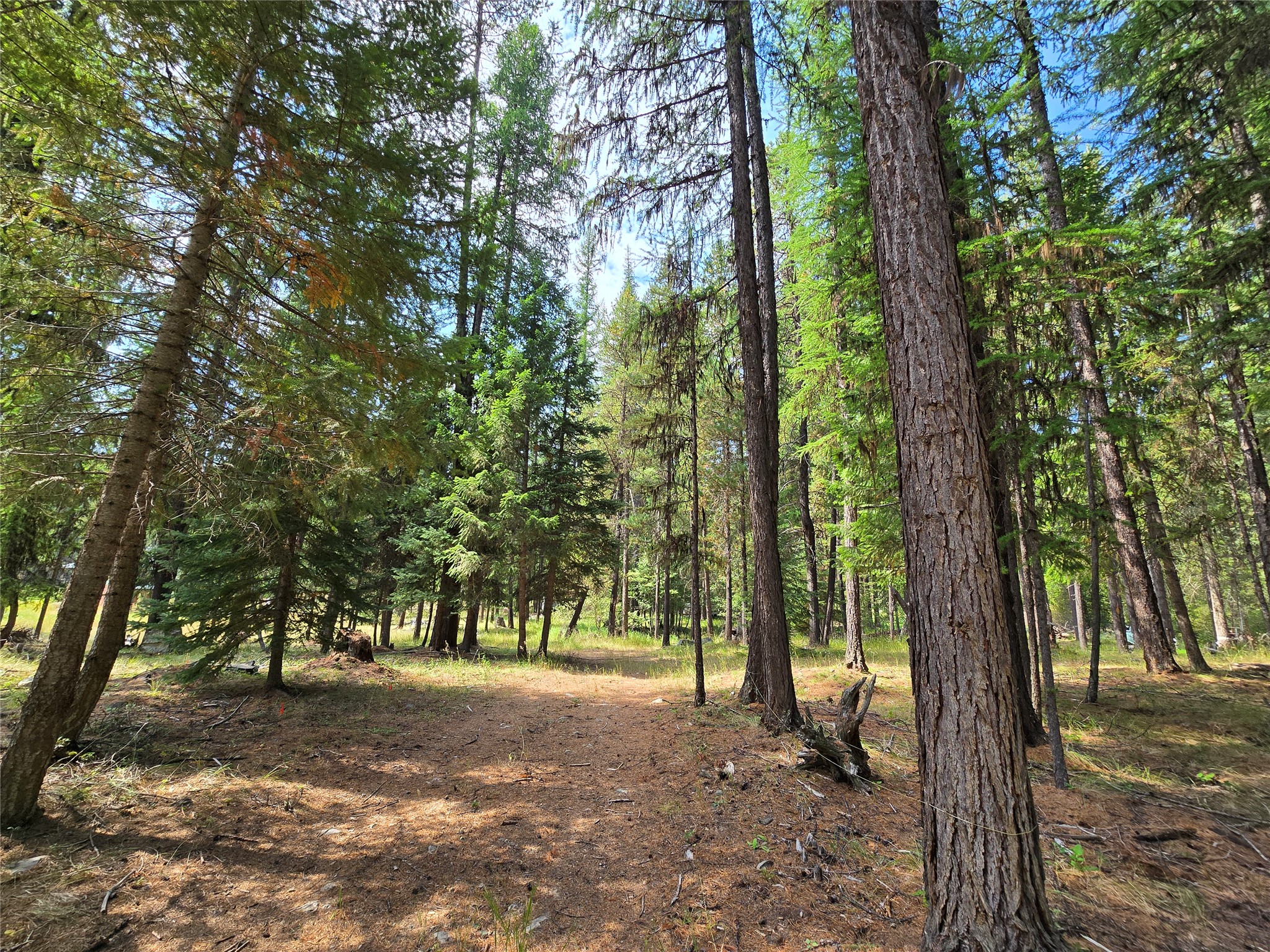 1054 Tamarack Lane Property Photo 11