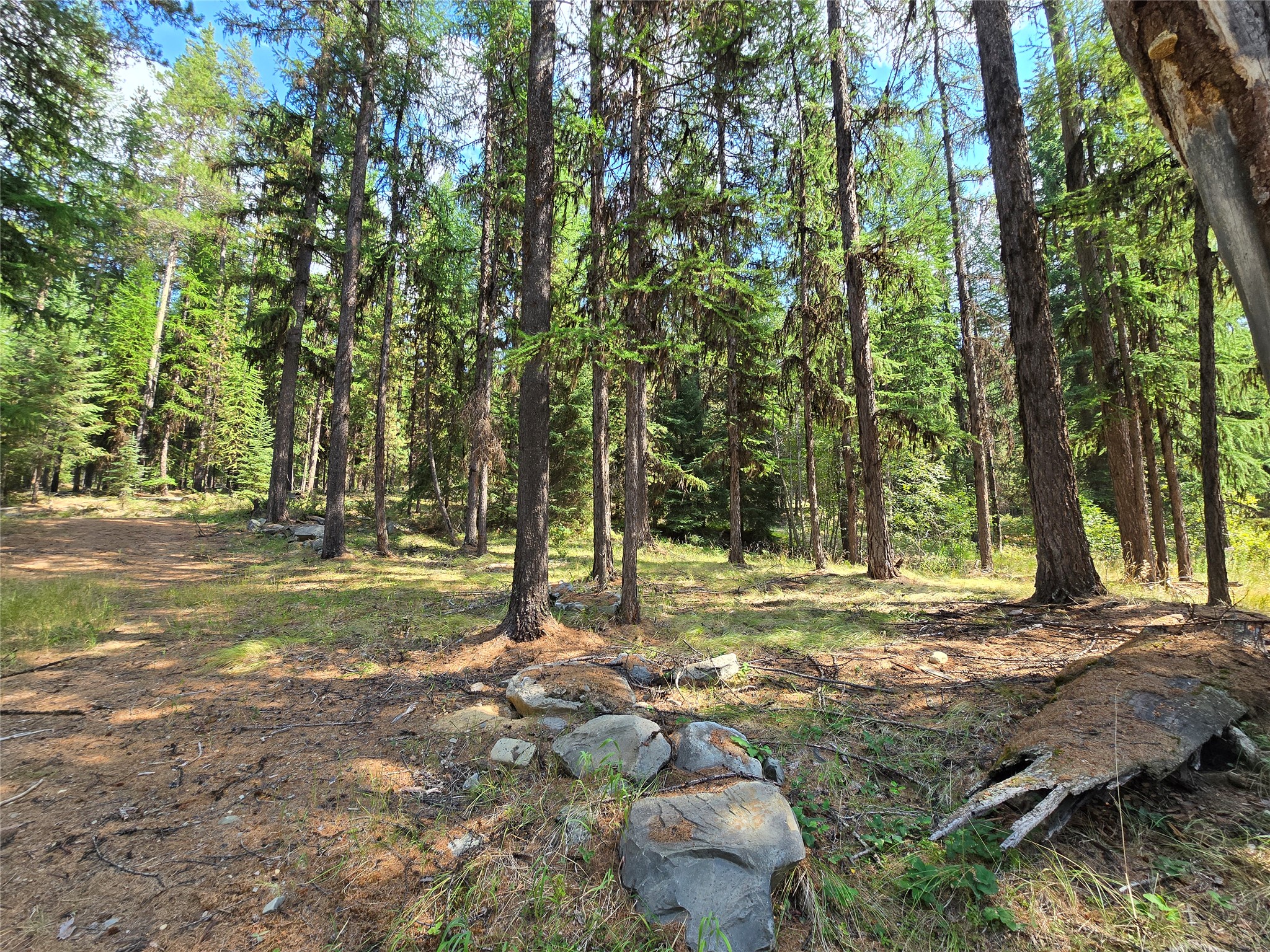 1054 Tamarack Lane Property Photo 19