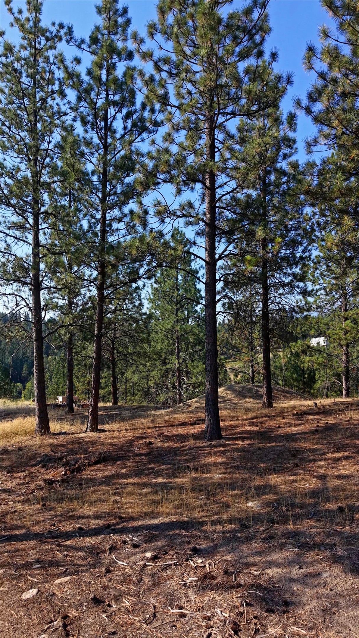 1176 Garden Place Property Photo 38