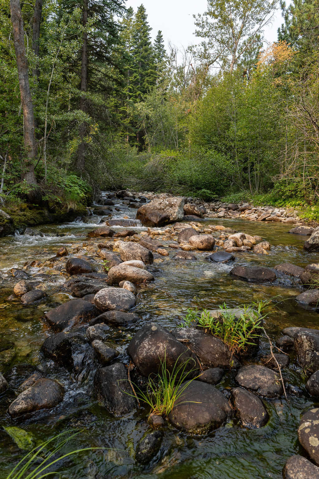 2044 Night Hawk Trail Property Photo 5