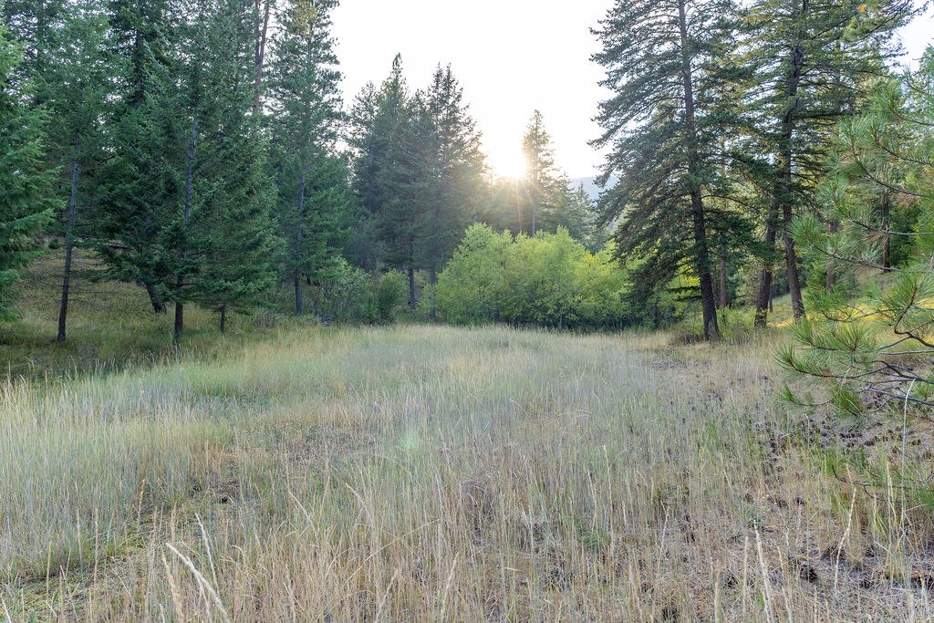 2044 Night Hawk Trail Property Photo 66