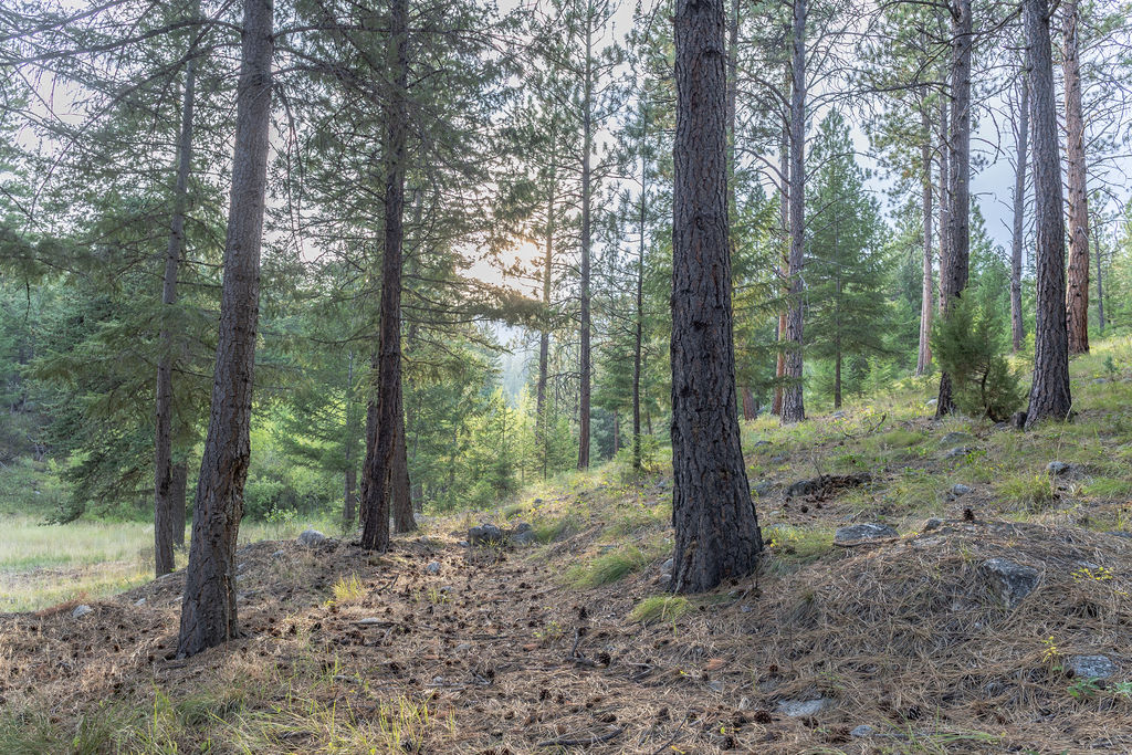 2044 Night Hawk Trail Property Photo 73