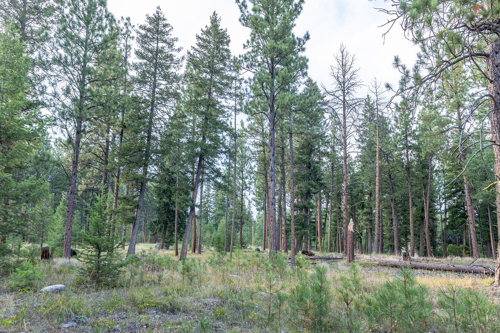 2044 Night Hawk Trail Property Photo 74