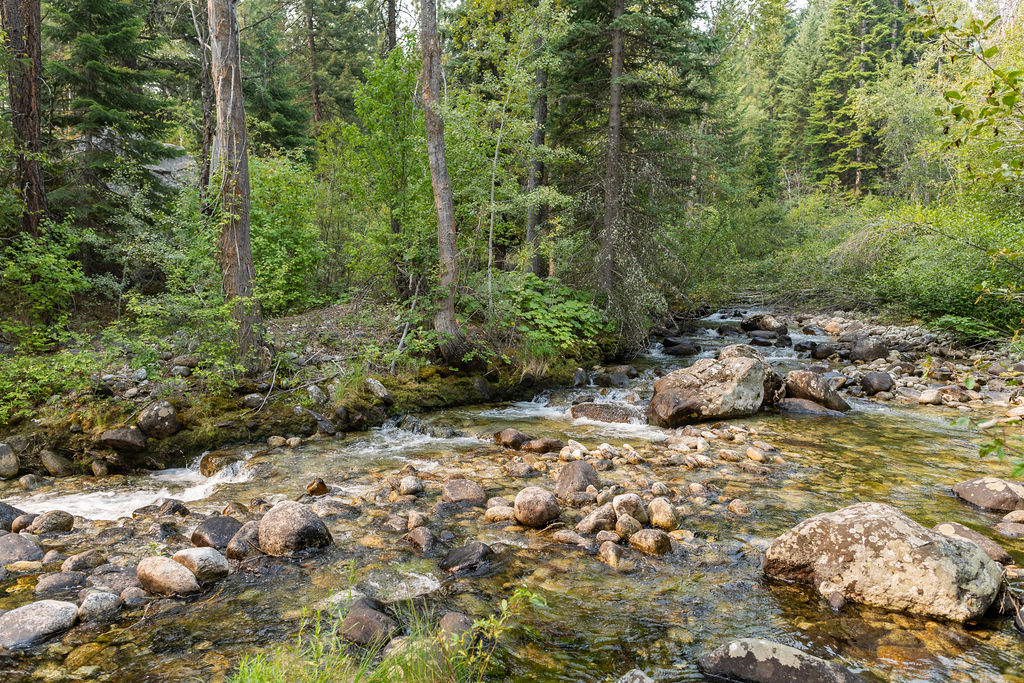 2044 Night Hawk Trail Property Photo 75