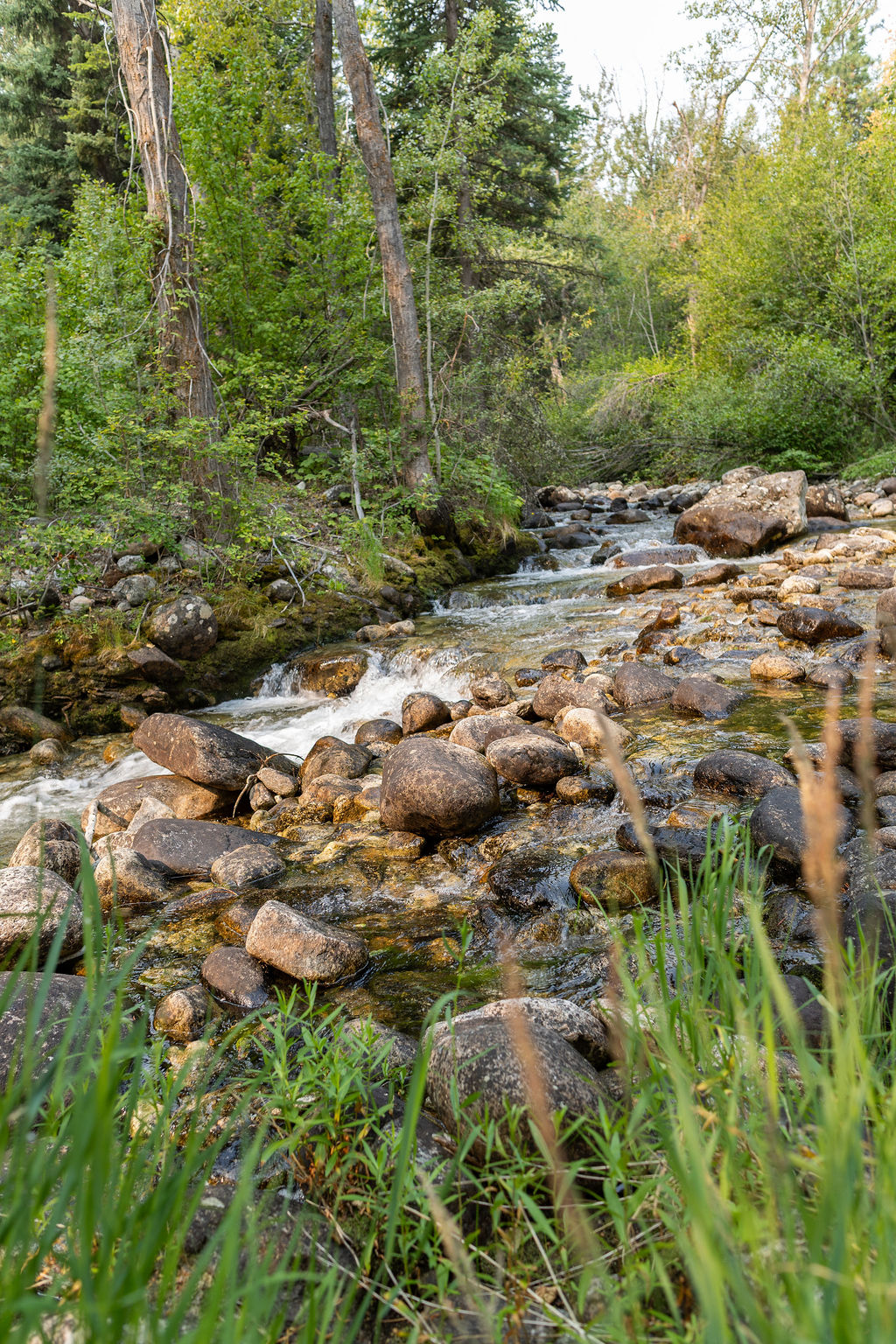 2044 Night Hawk Trail Property Photo 76