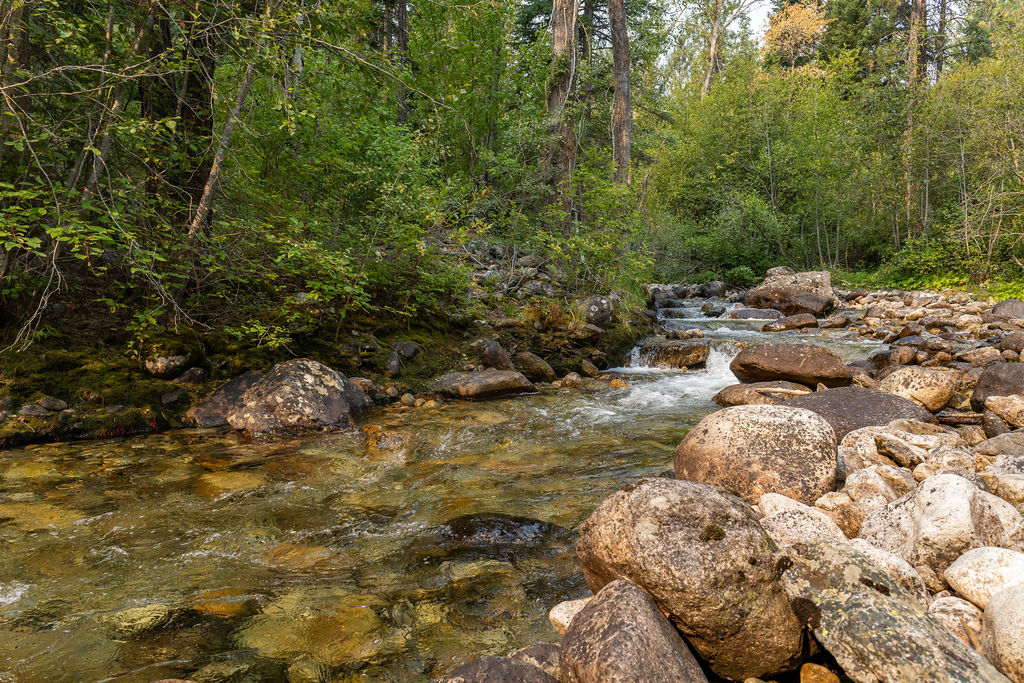 2044 Night Hawk Trail Property Photo 78